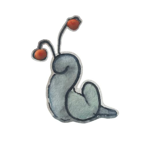 #263 - ajolp