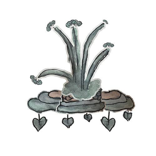 #264 - jelar
