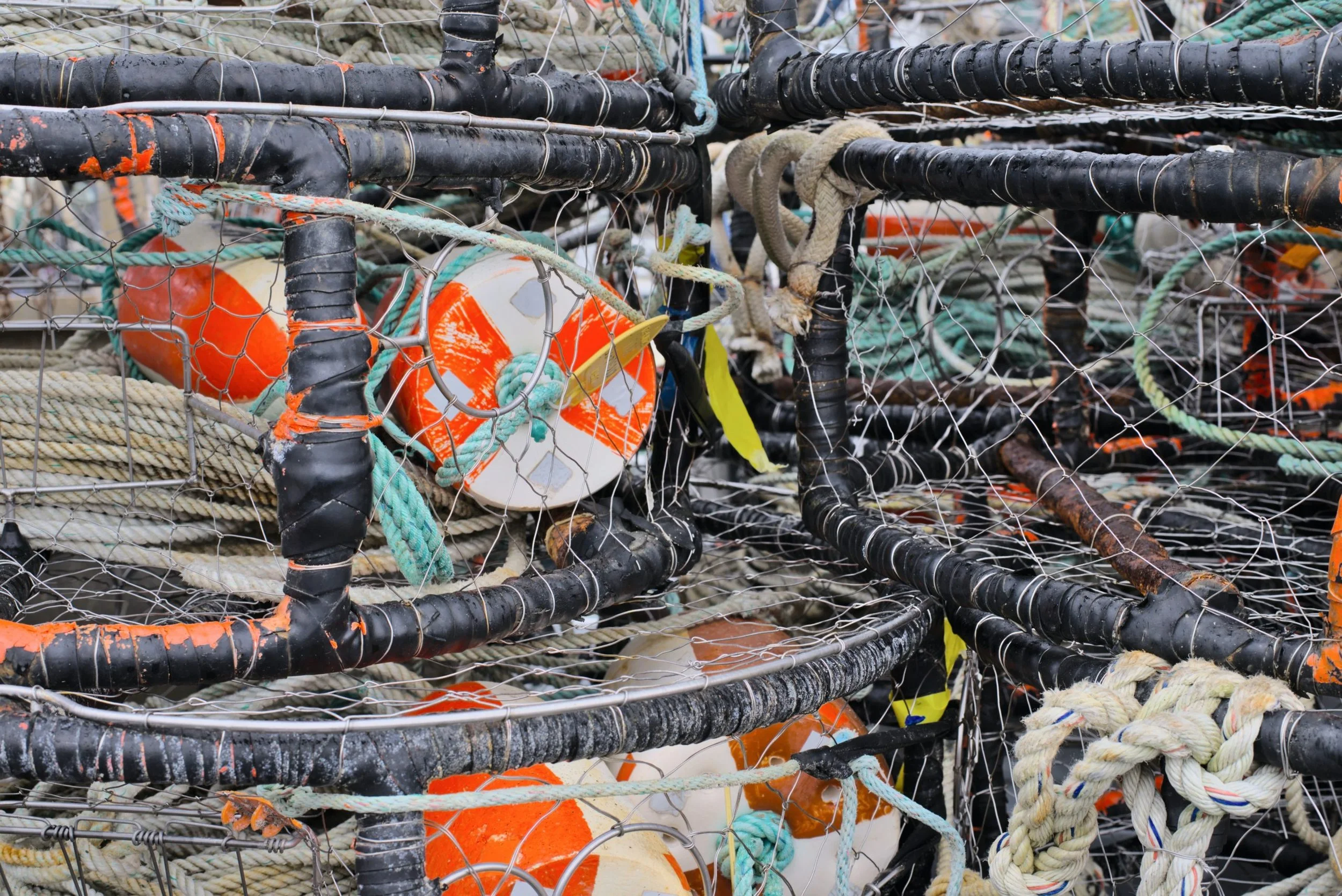 Fishing Gear Types & Sustainability