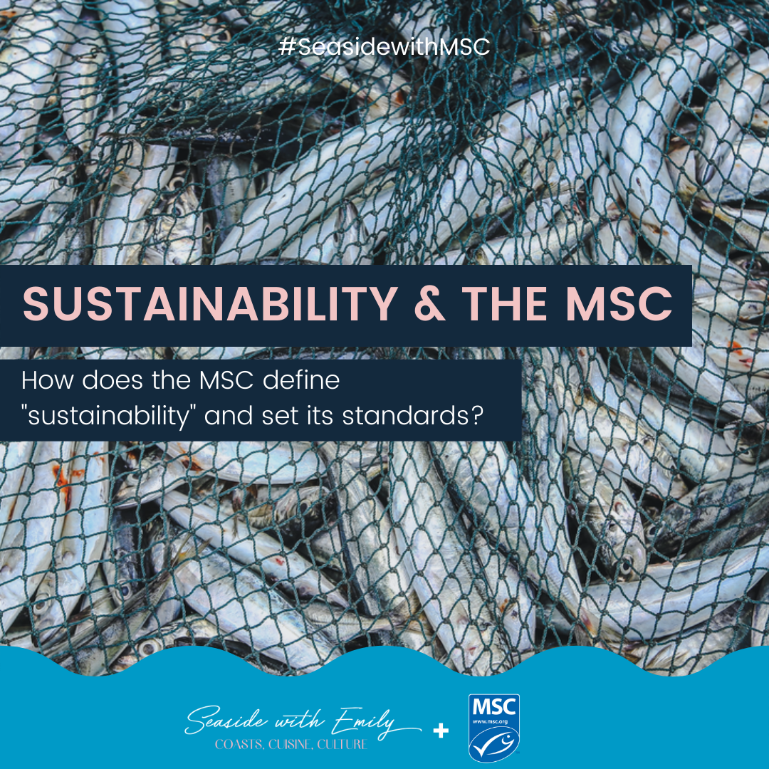How does the MSC support seafood sustainability?