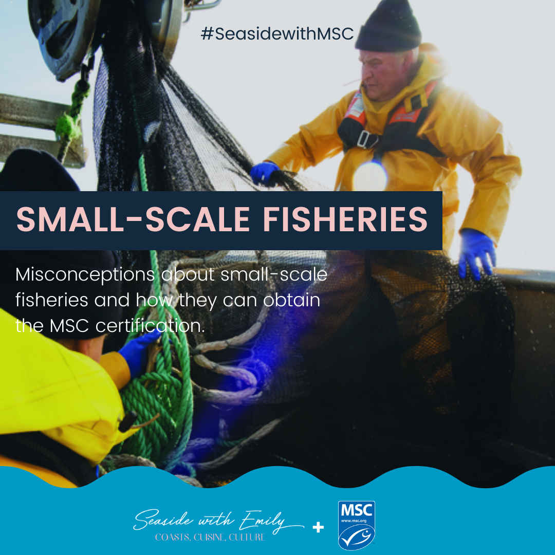 Small Scale Fisheries and the MSC