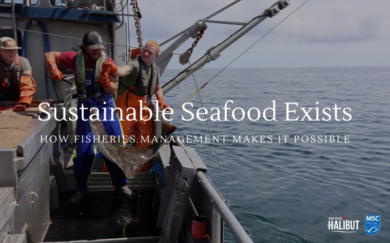 Sustainable Seafood Exists: How Fisheries Management Makes it Possible