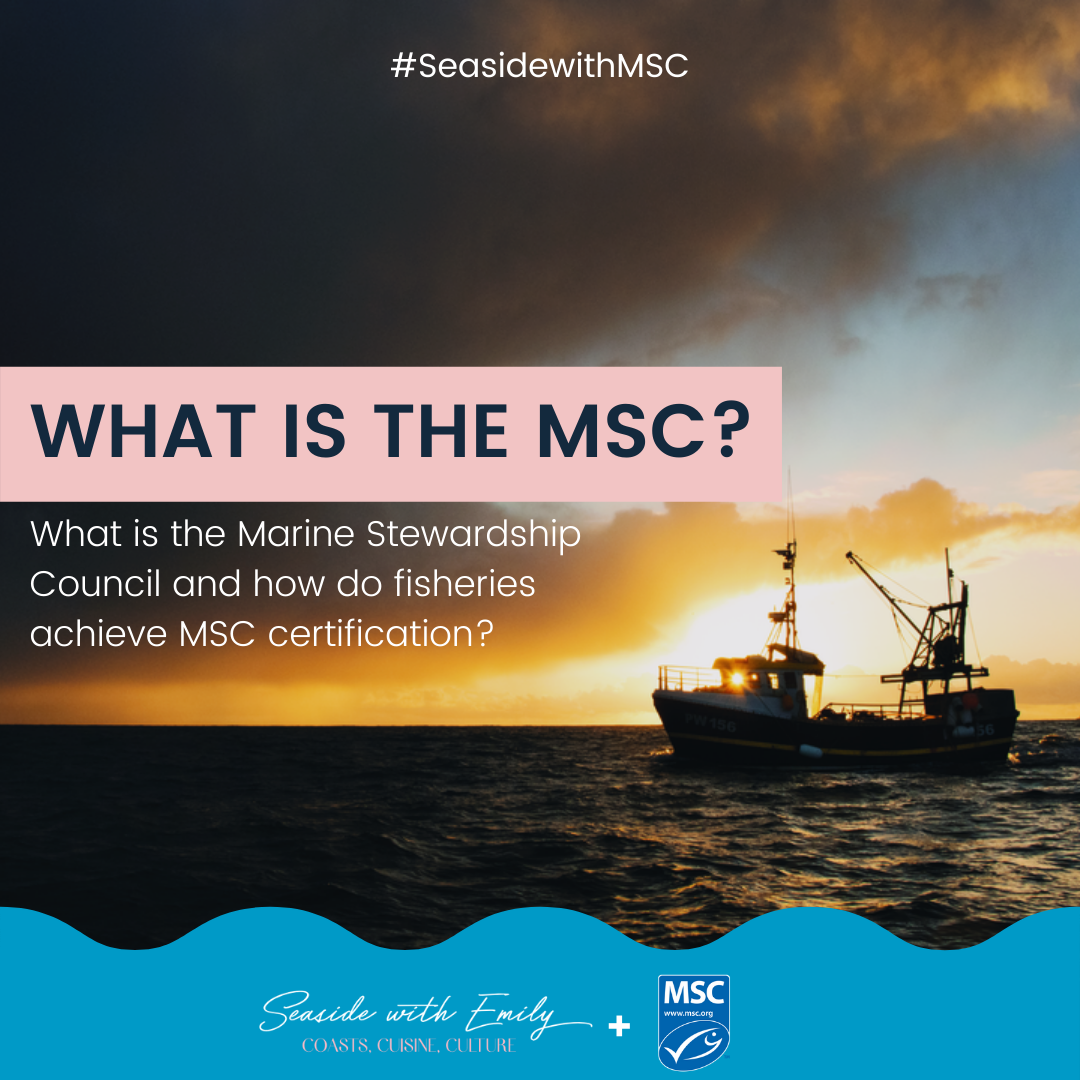 What is the MSC and how do fisheries achieve MSC certification?