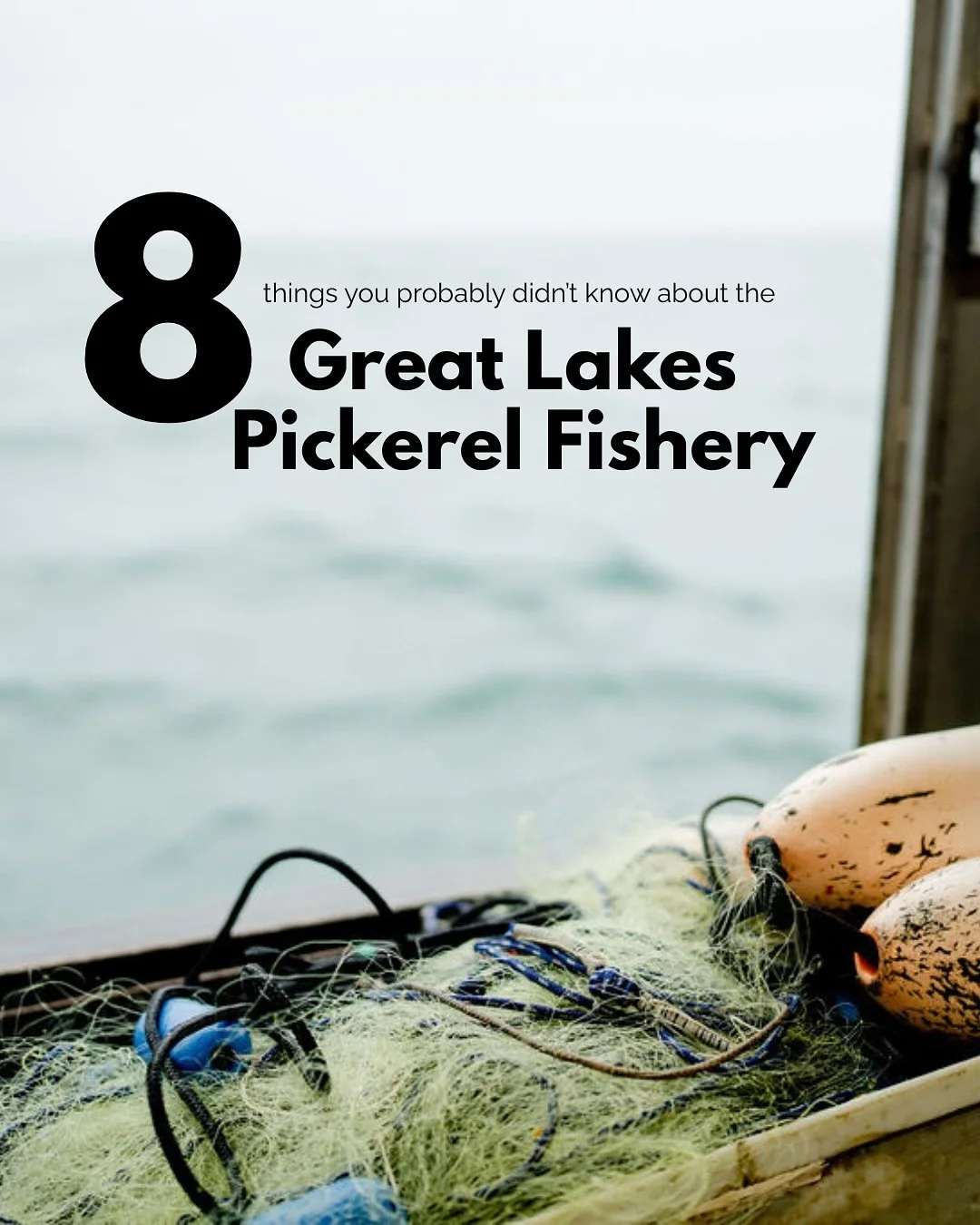 I grew up surrounded by these stories, but even I&rsquo;m still learning (and trust me&mdash;after trying to hand-pick fish out of gillnets, I&rsquo;ll never take pickerel for granted again 😅).

This is one of the most productive, carefully managed,