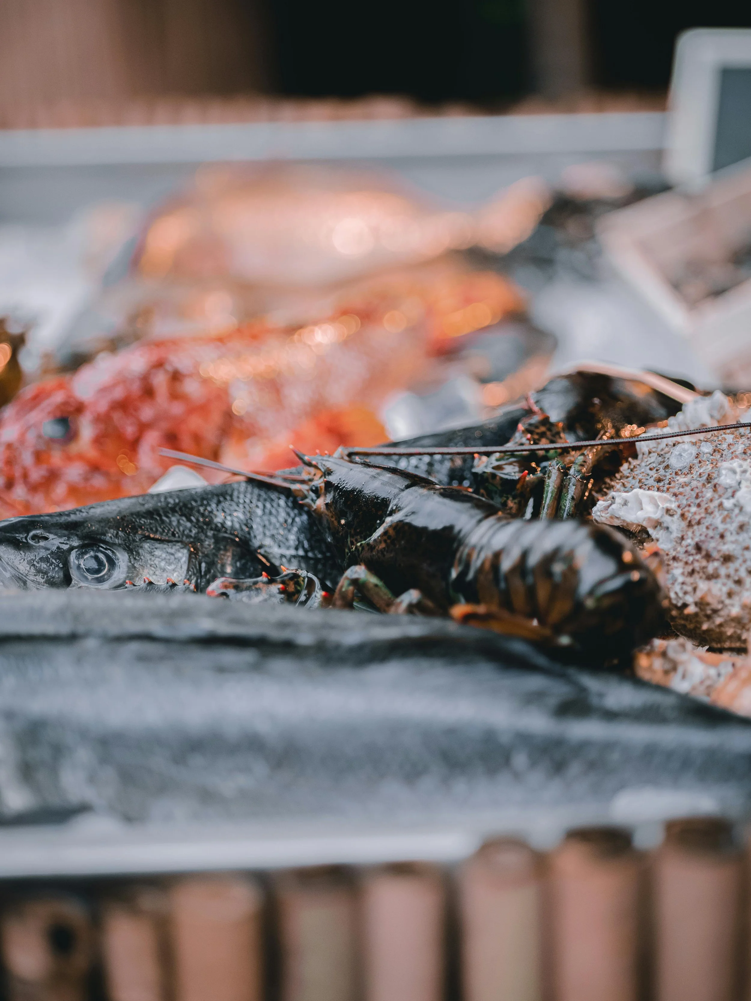 Fresh vs. Frozen Seafood