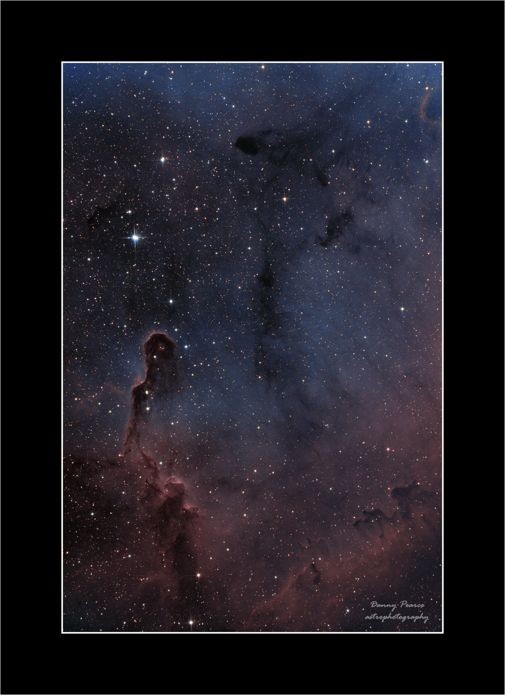 ElephantTrunk-SOO-Edit.jpg