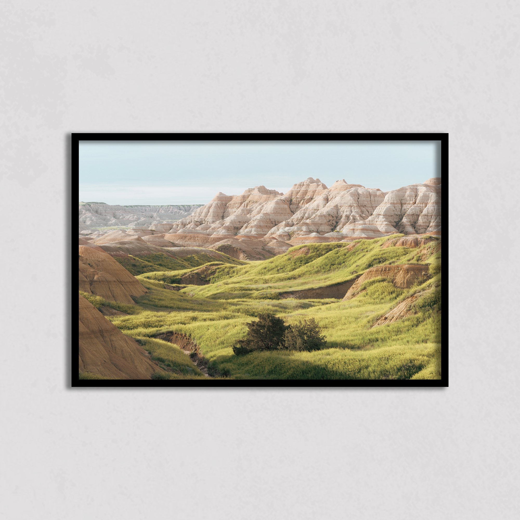 Badlands display web.jpg