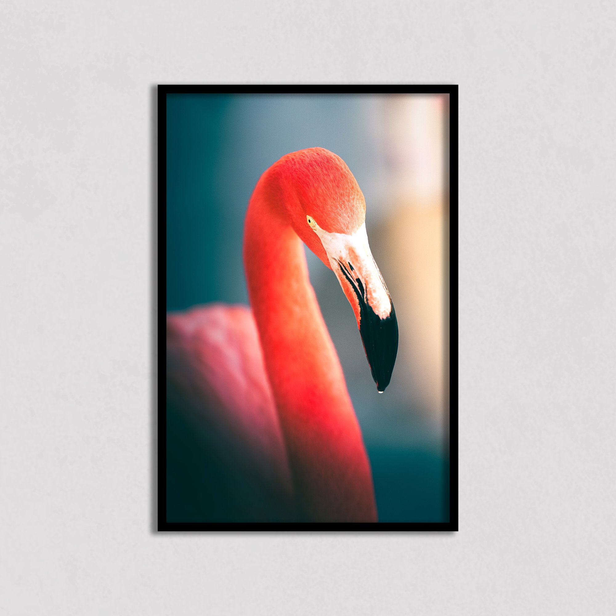 FlaminGO wall.jpg