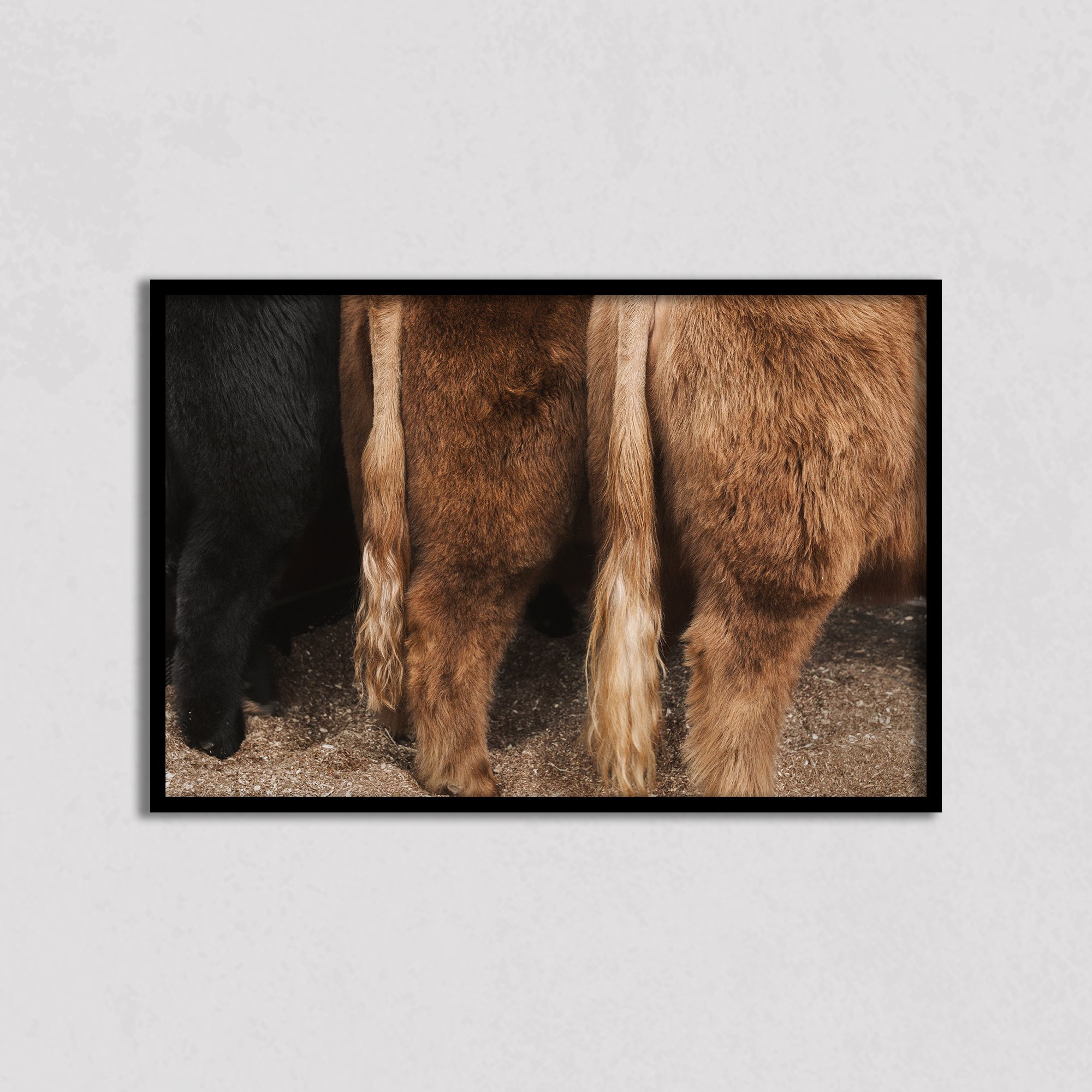 Fluffy Butts Display web.jpg