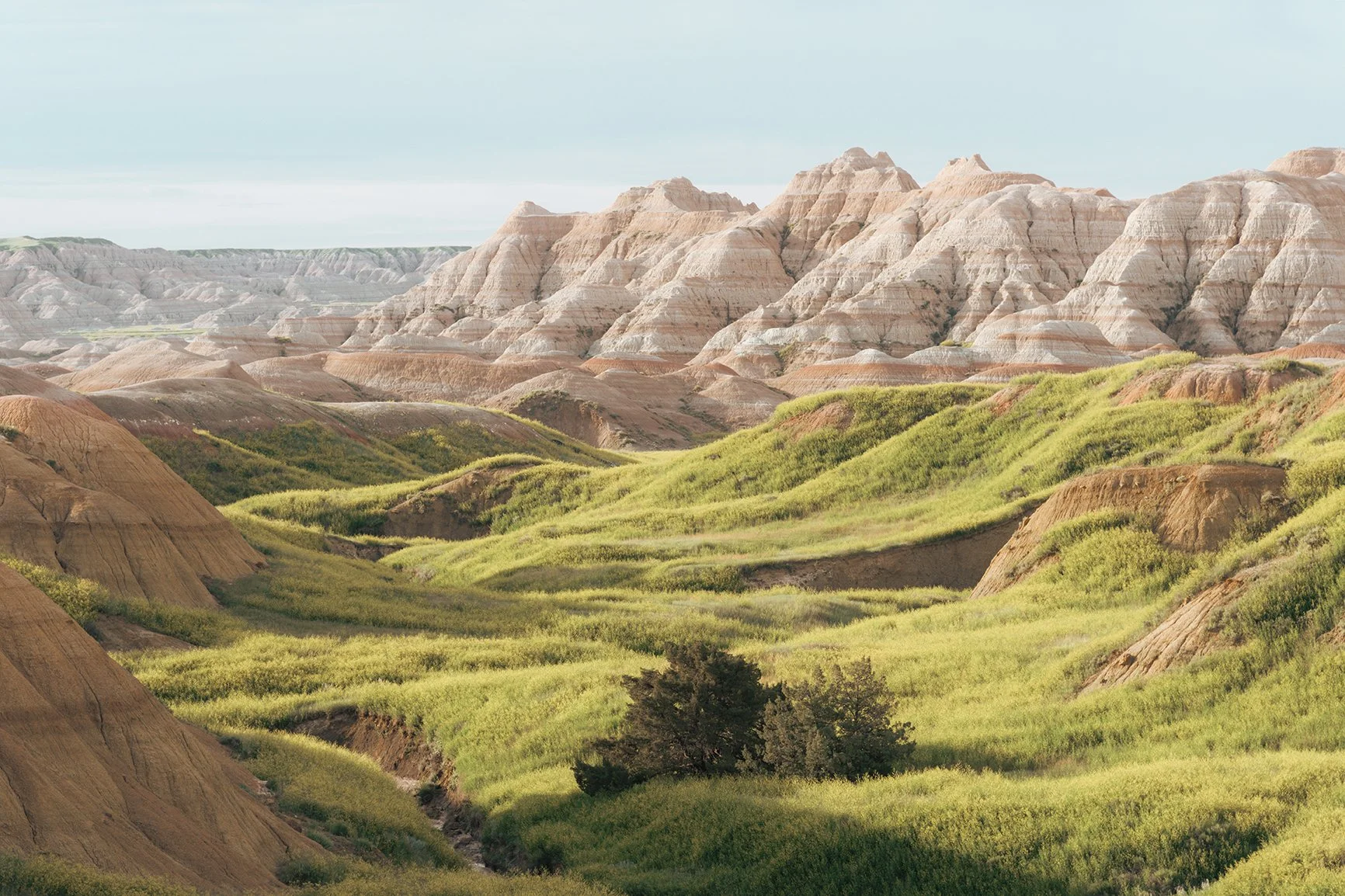Badlands web.jpg