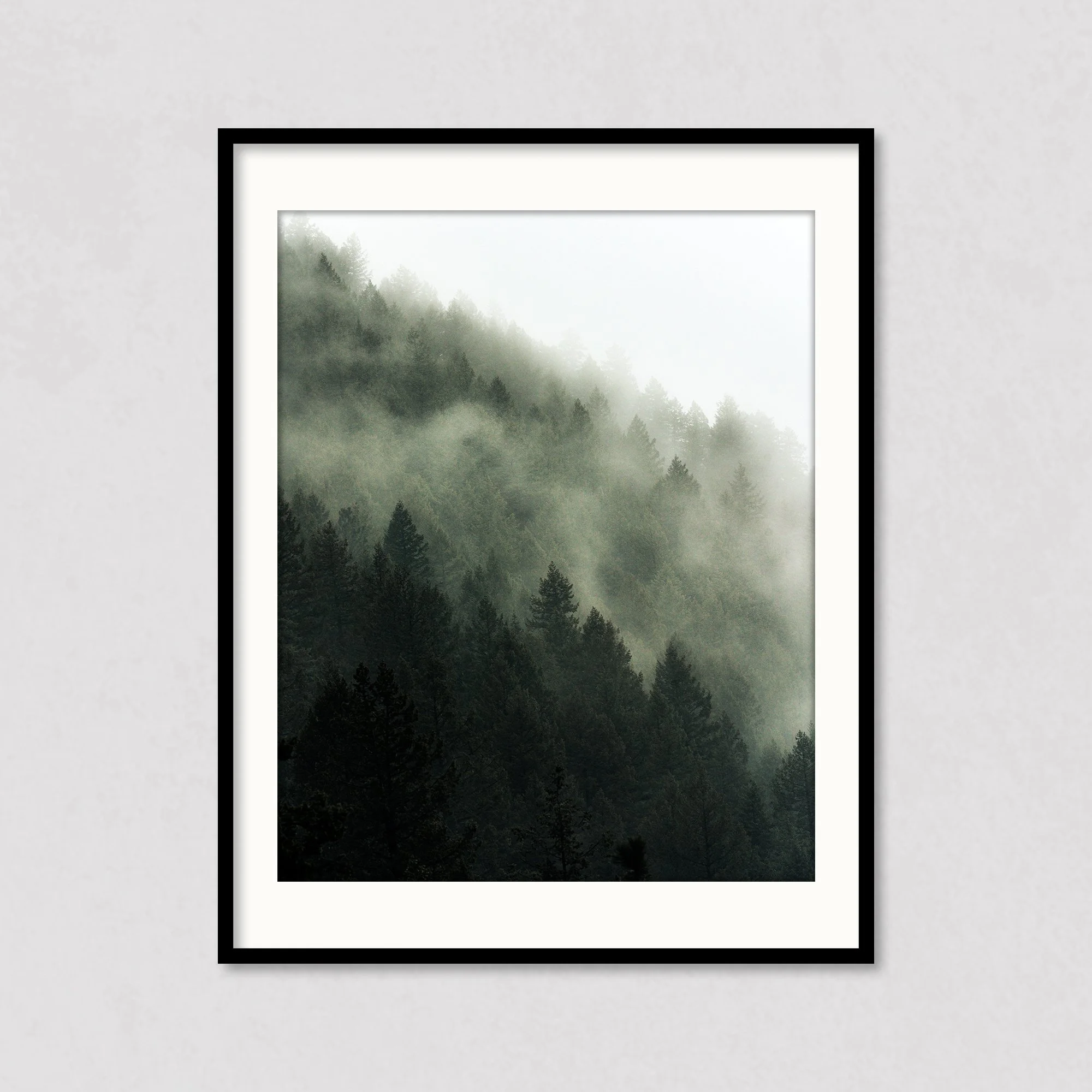 misty-forest-8x10-print.jpg