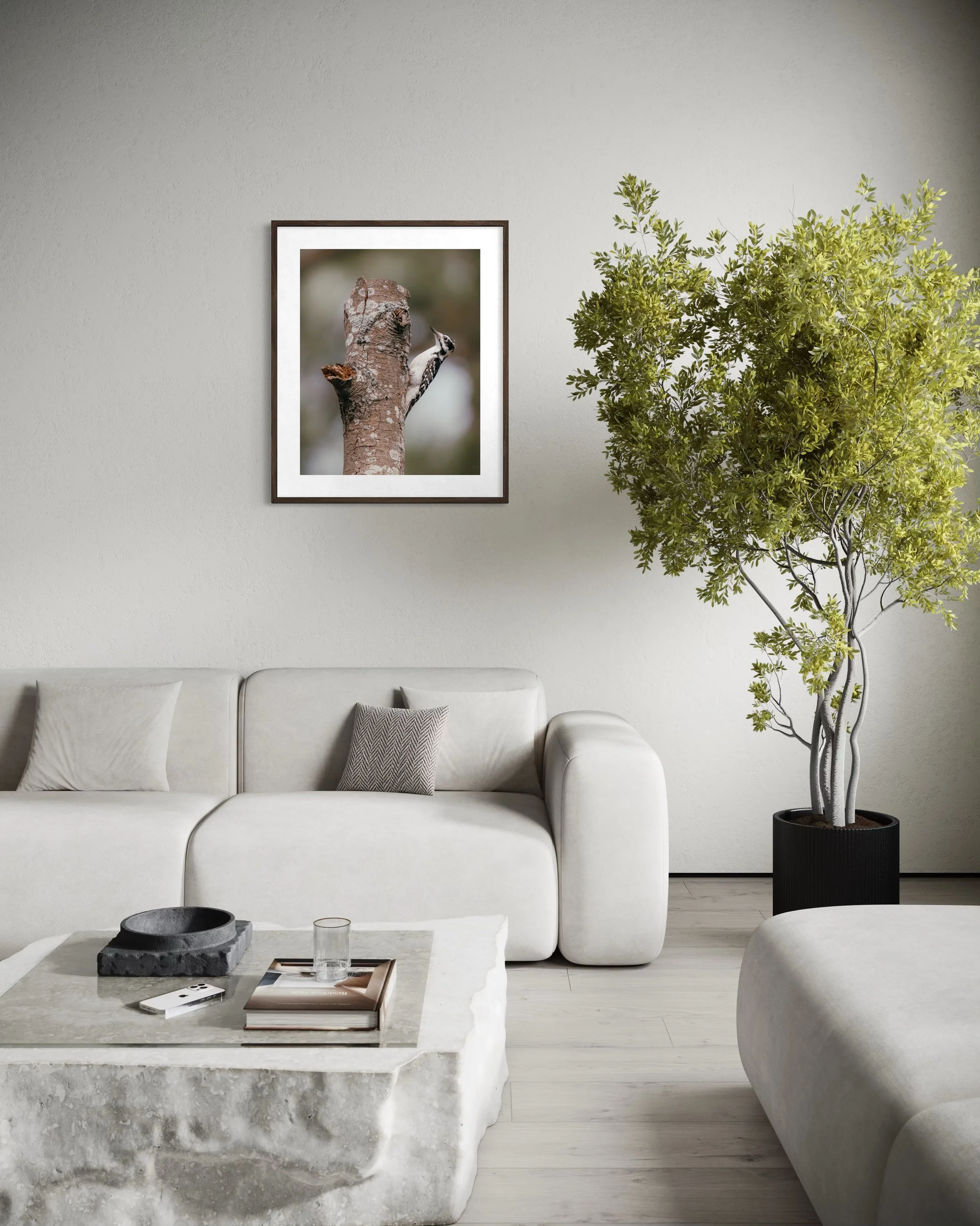 Downy 24x30.jpg
