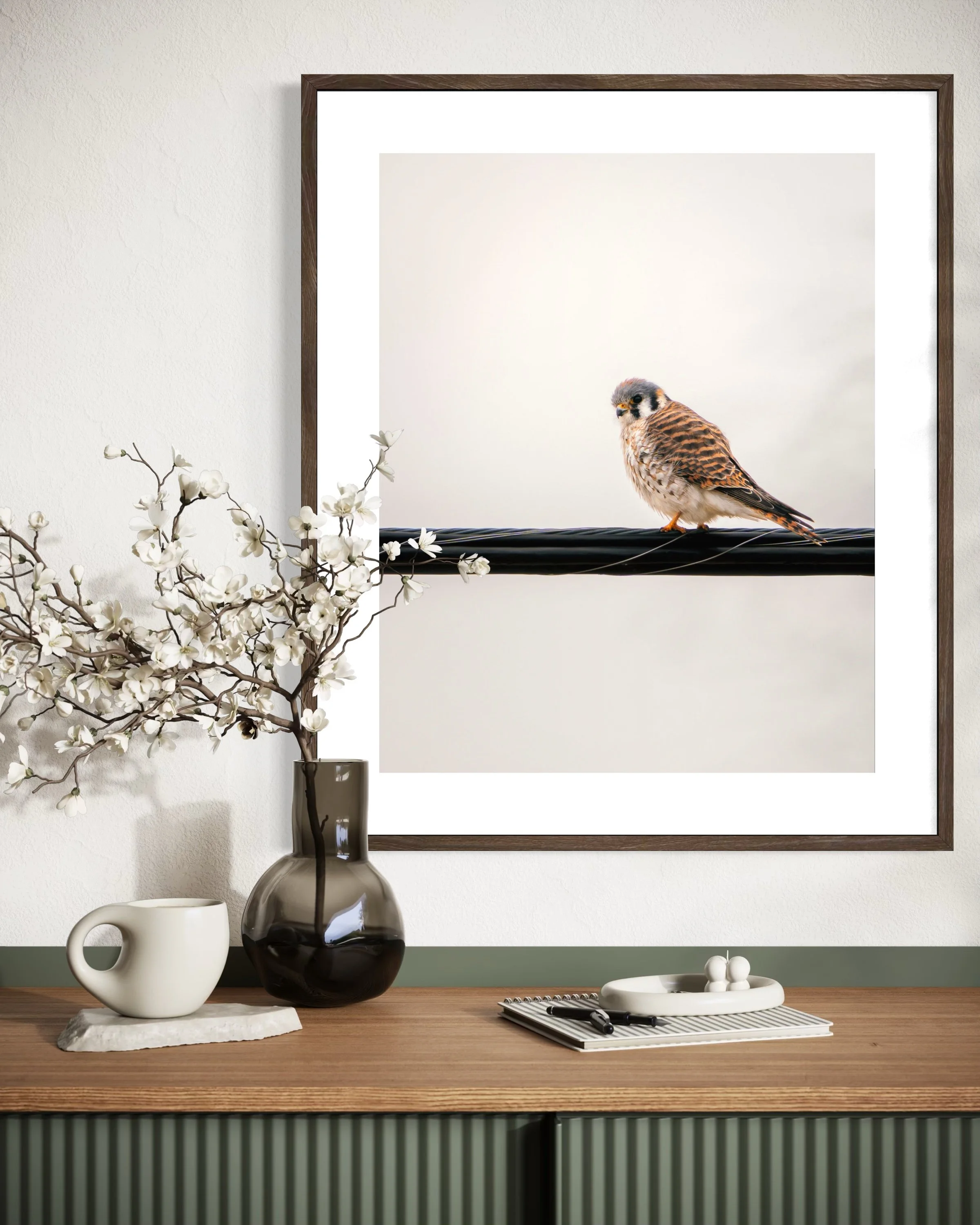 Kestrel 24x20.jpg