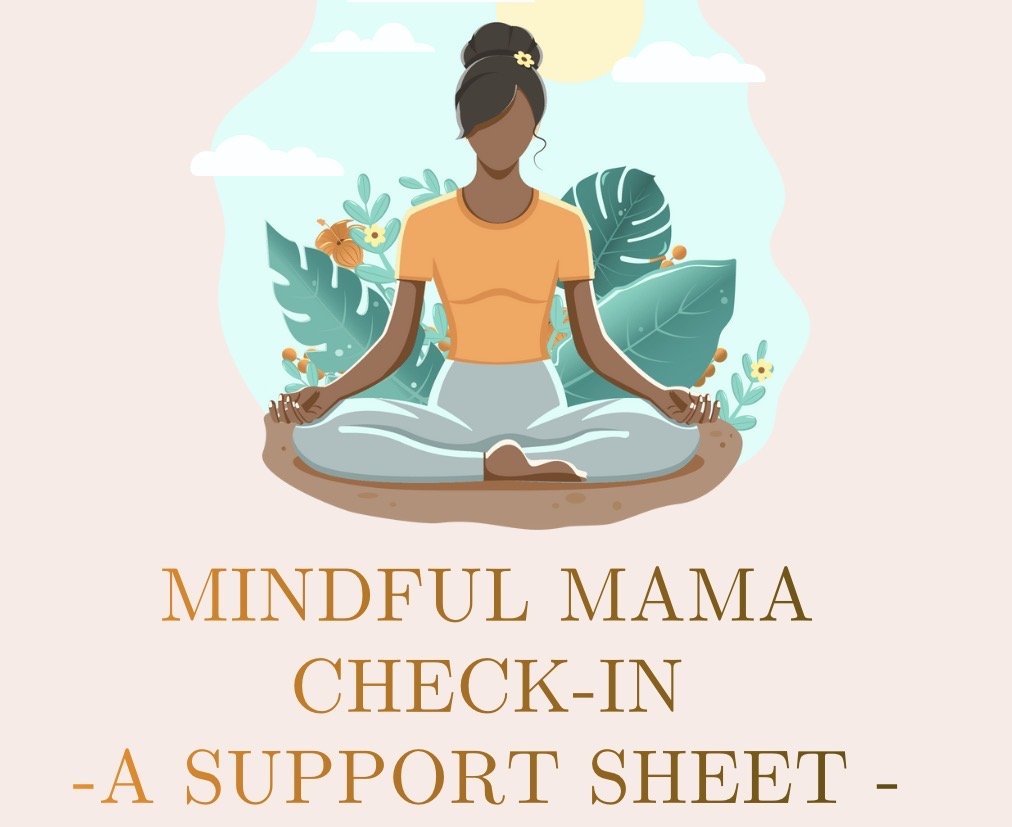 MindfulMamaCheckinCover.jpg