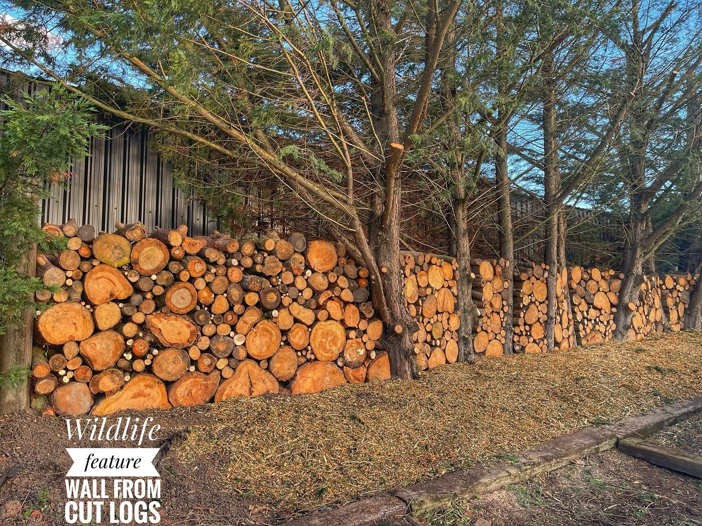 Wildlife feature wall 🪵 turning cut logs back into a feature but also a wildlife have. As well as giving you the aesthetic beauty of a bespoke wall it&rsquo;s doing more than meets the eye. A place for queen bees 🐝solitary bees 🐝spiders🕷️ ladybug