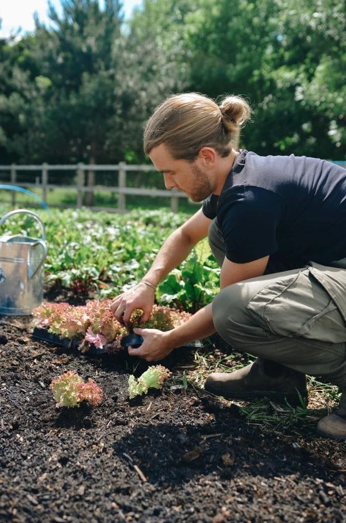 1ed14339-311d-4ef9-b3a6-cd528e631656 4.JPG