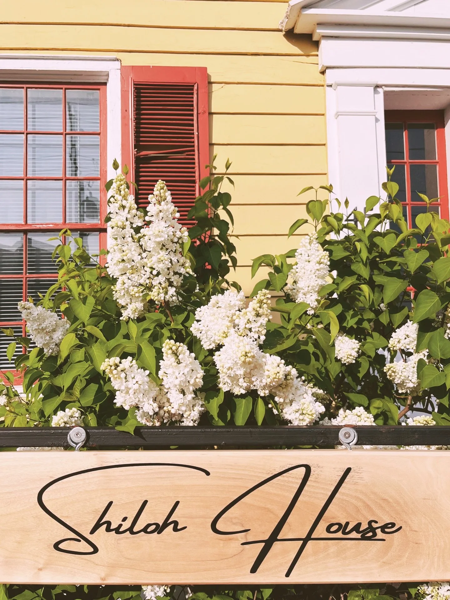 Shiloh House was created to give an opportunity for those experiencing homelessness to rebuild their lives with stability, support and hope.

As the transition home connected to Grace Inn Shelter in Belleville, Shiloh House helps bridge the gap betwe