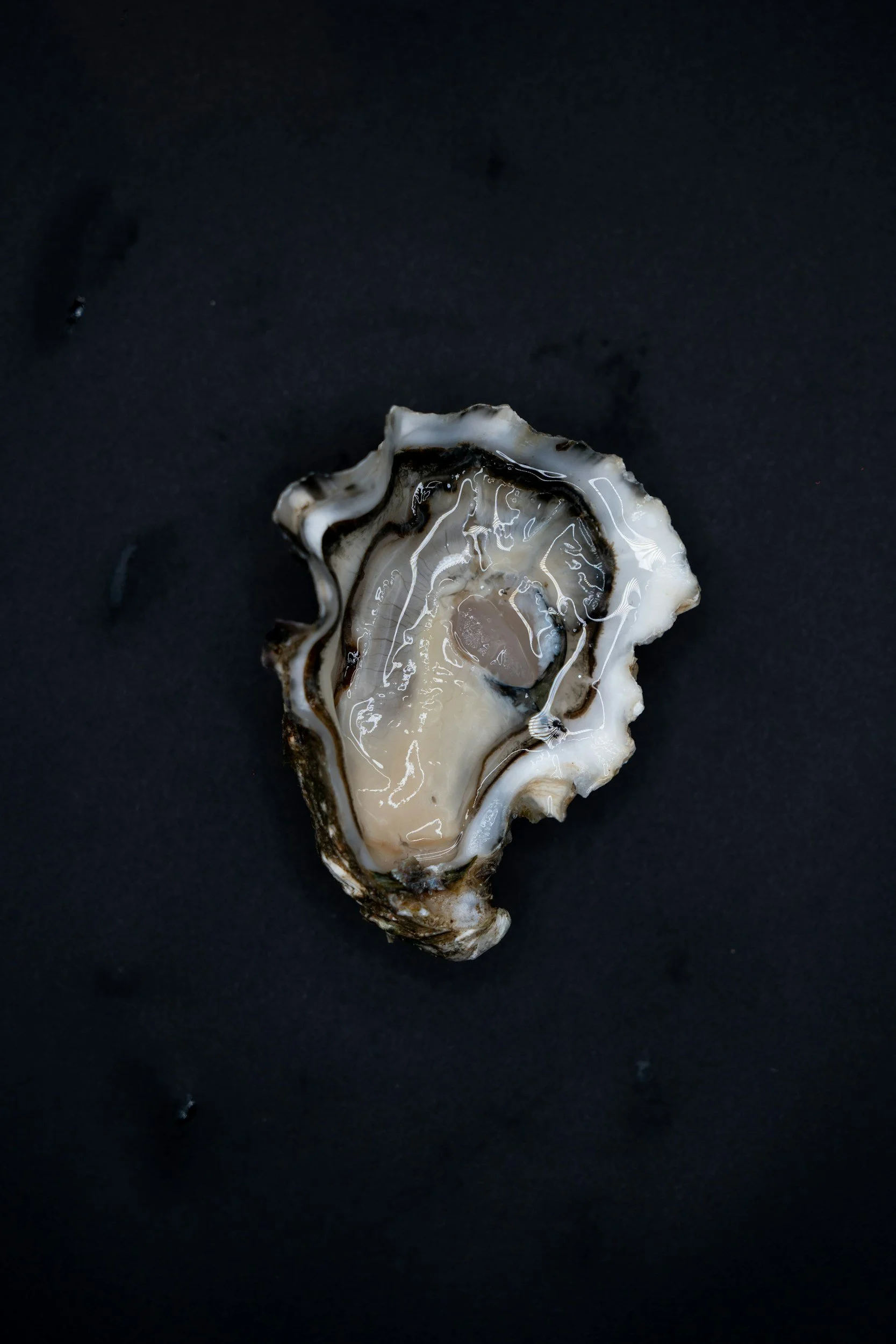 Close-up of an open oyster shell with exposed flesh and liquid inside, placed on a black surface.