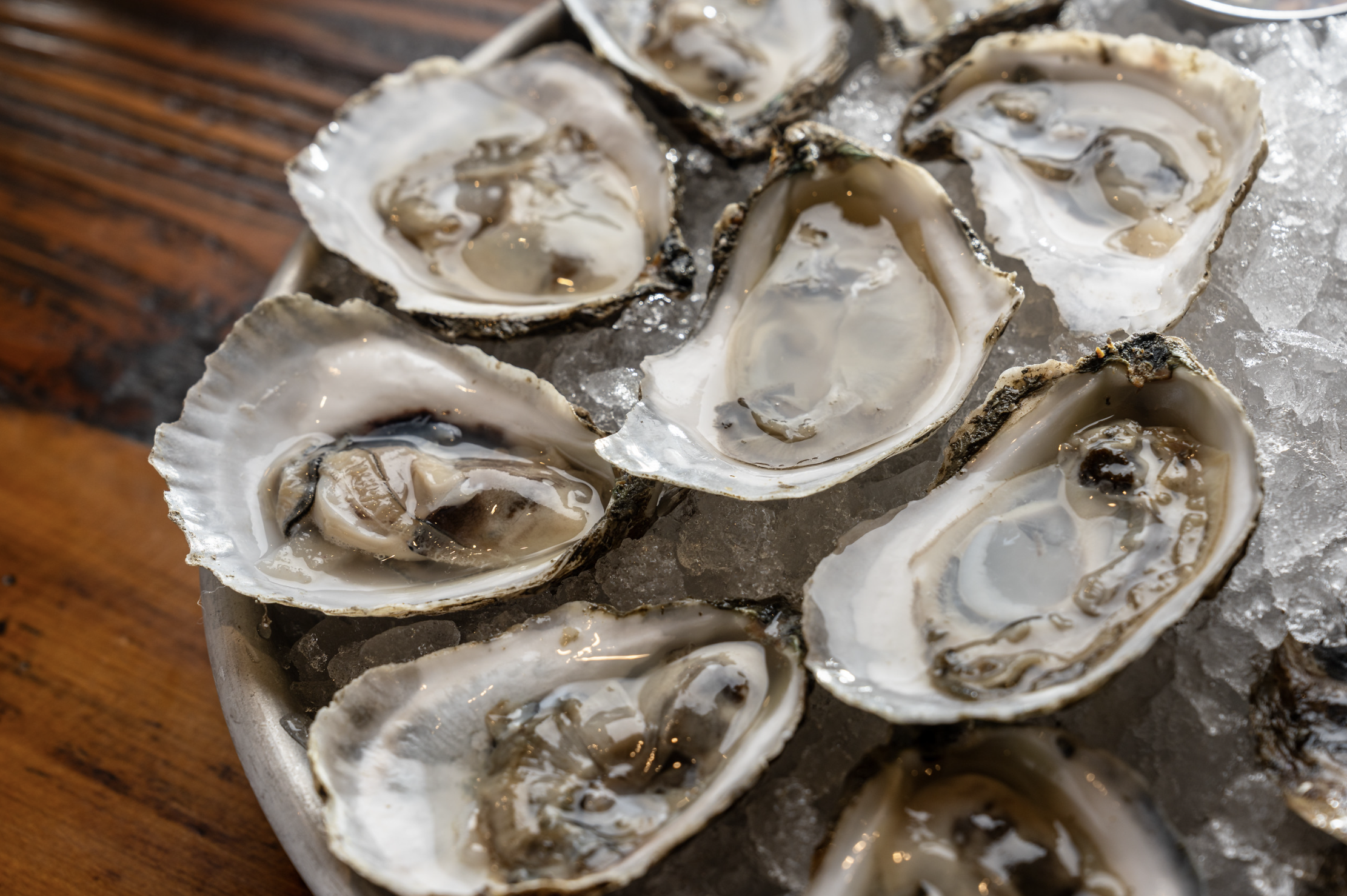 Chesapeake Oyster Week