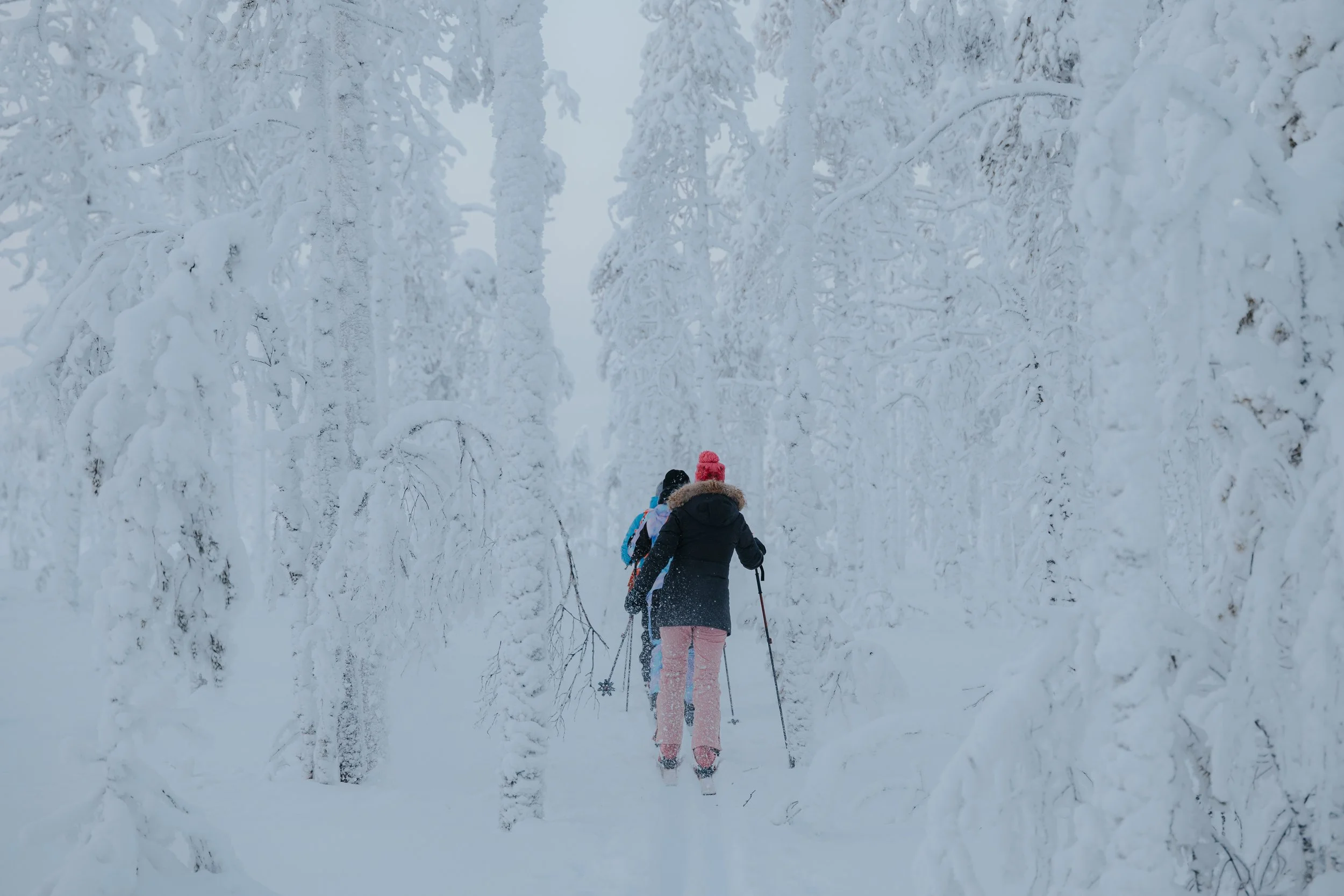 Two people hiking through a snow-covered forest in winter.