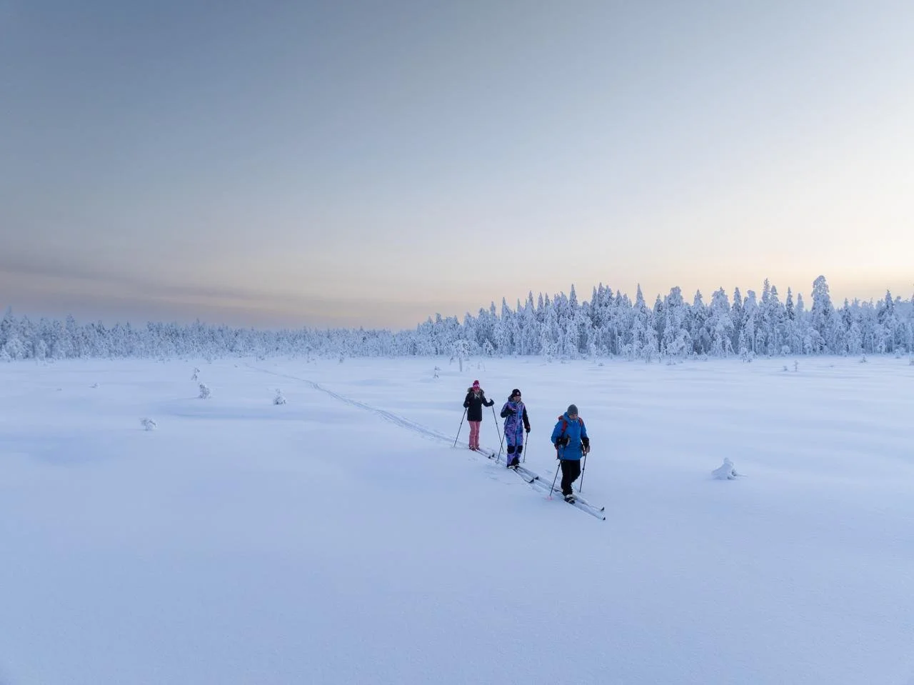 Three people cross-country skiing in a snowy landscape with snow-covered trees in the background.