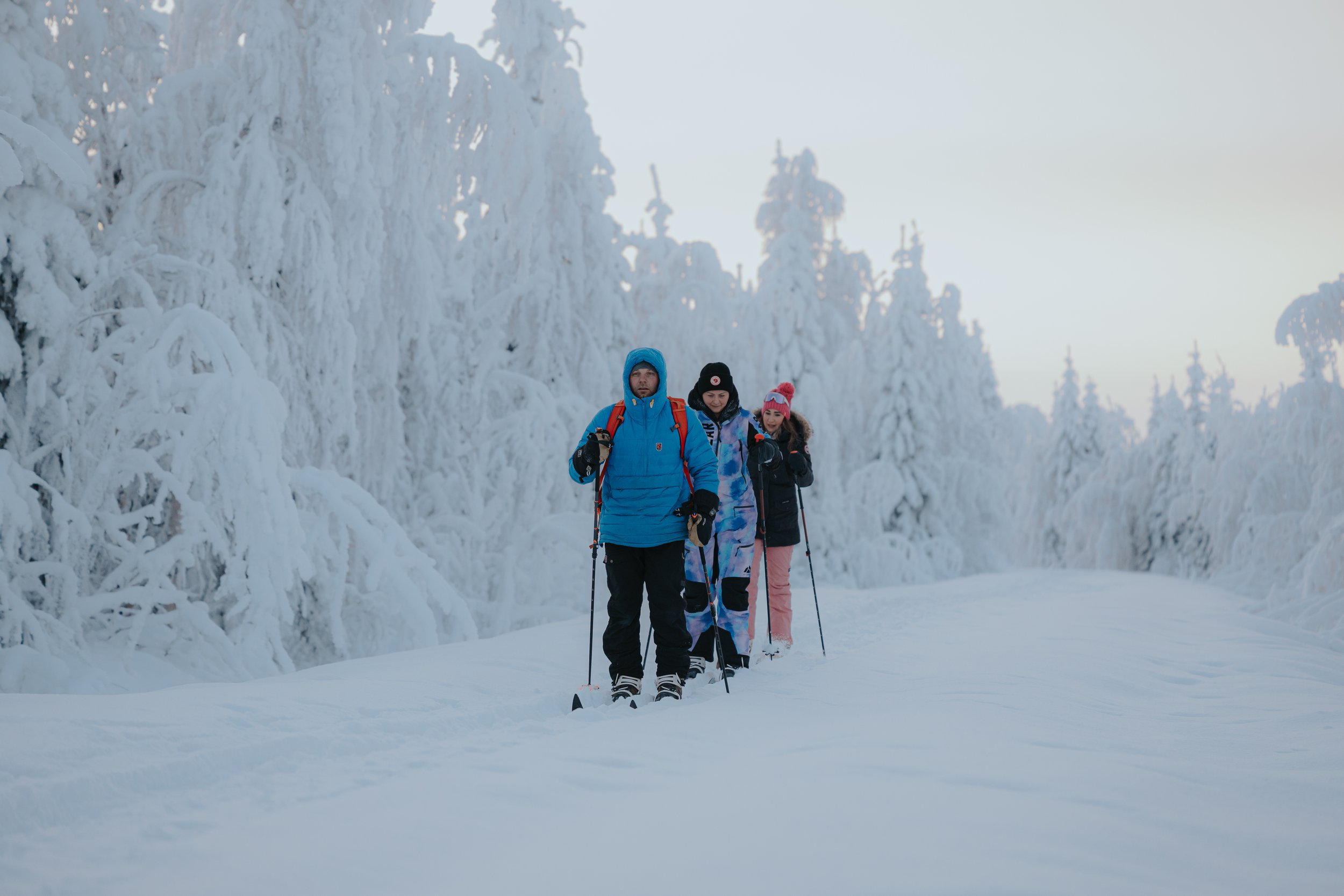 Three people dressed in winter clothing cross-country skiing in a snow-covered forest with frost-covered trees in the background.