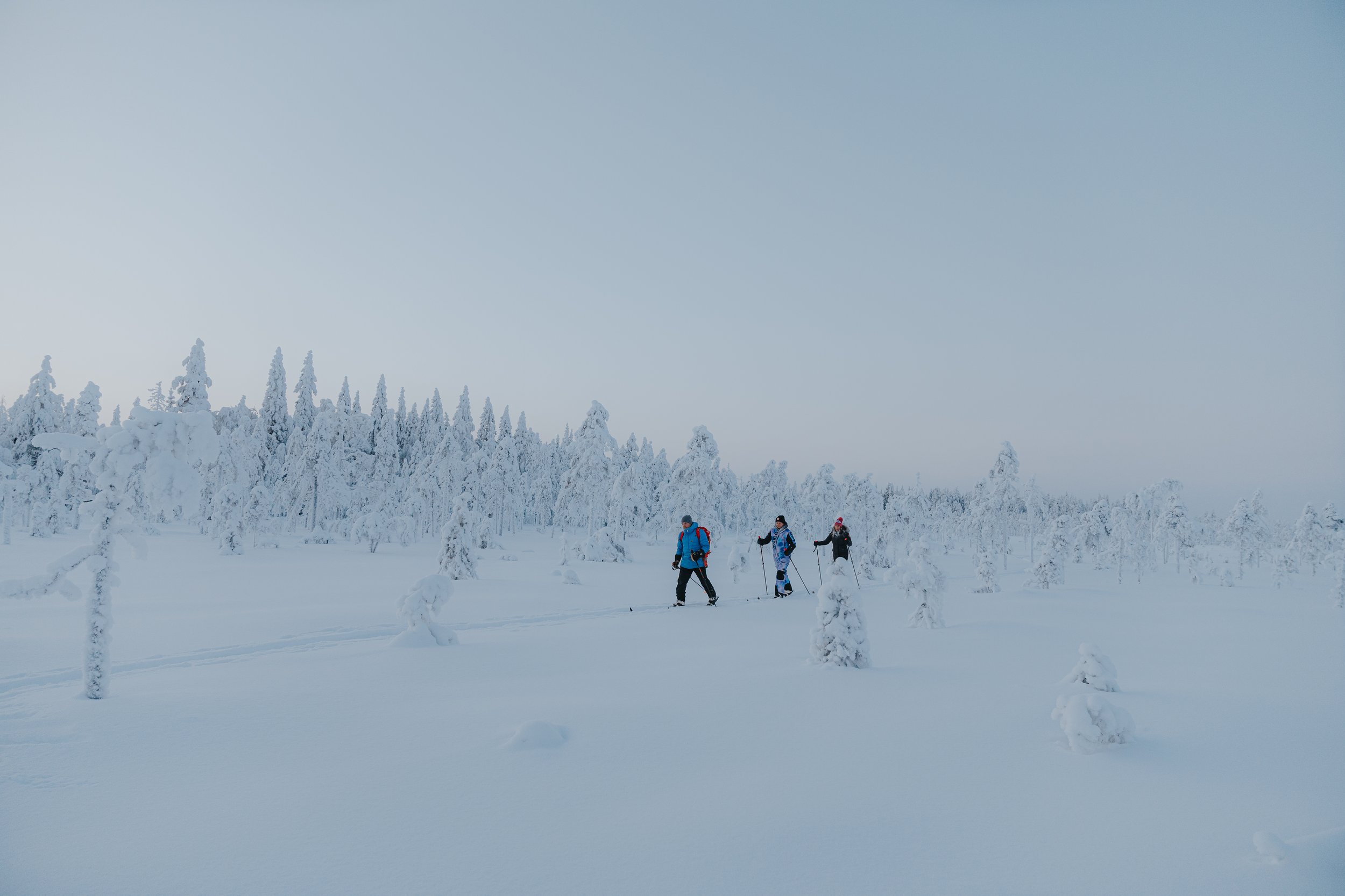 Three people cross-country skiing through a snow-covered landscape with trees blanketed in snow, under a cloudy sky.