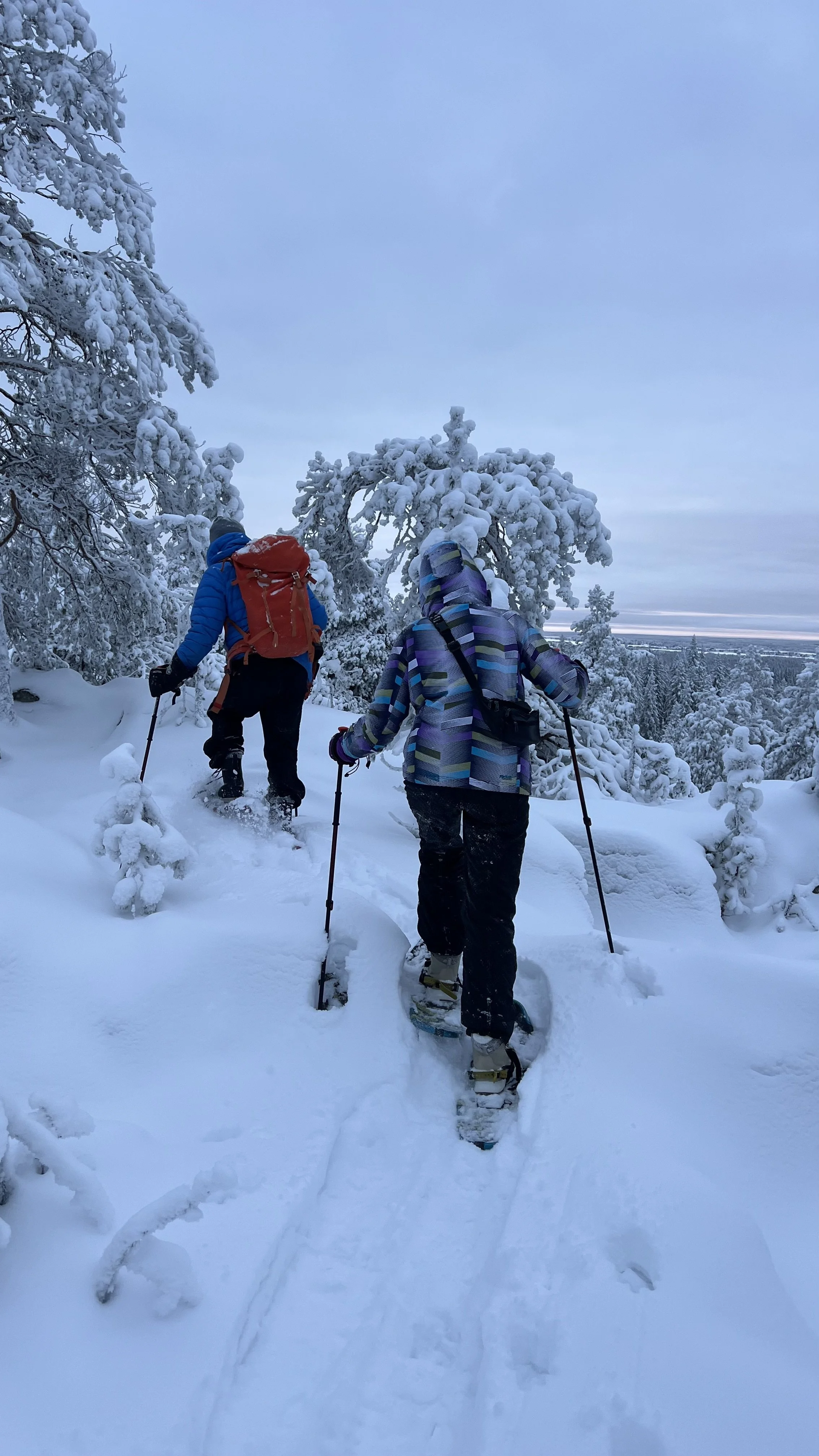 lumikenkäily (2).jpeg