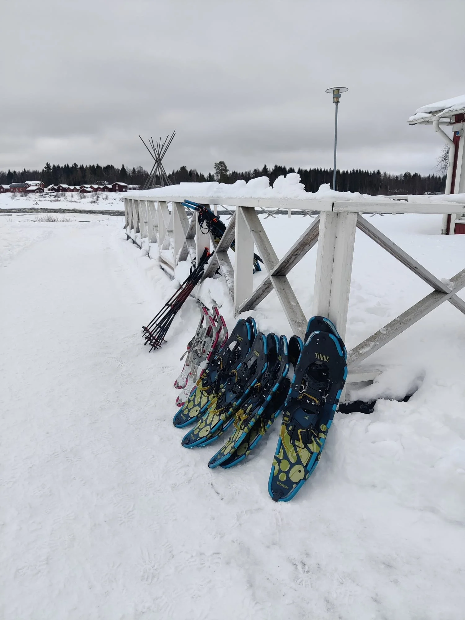 WhatsApp Image 2025-12-02 at 23.43.17.jpeg