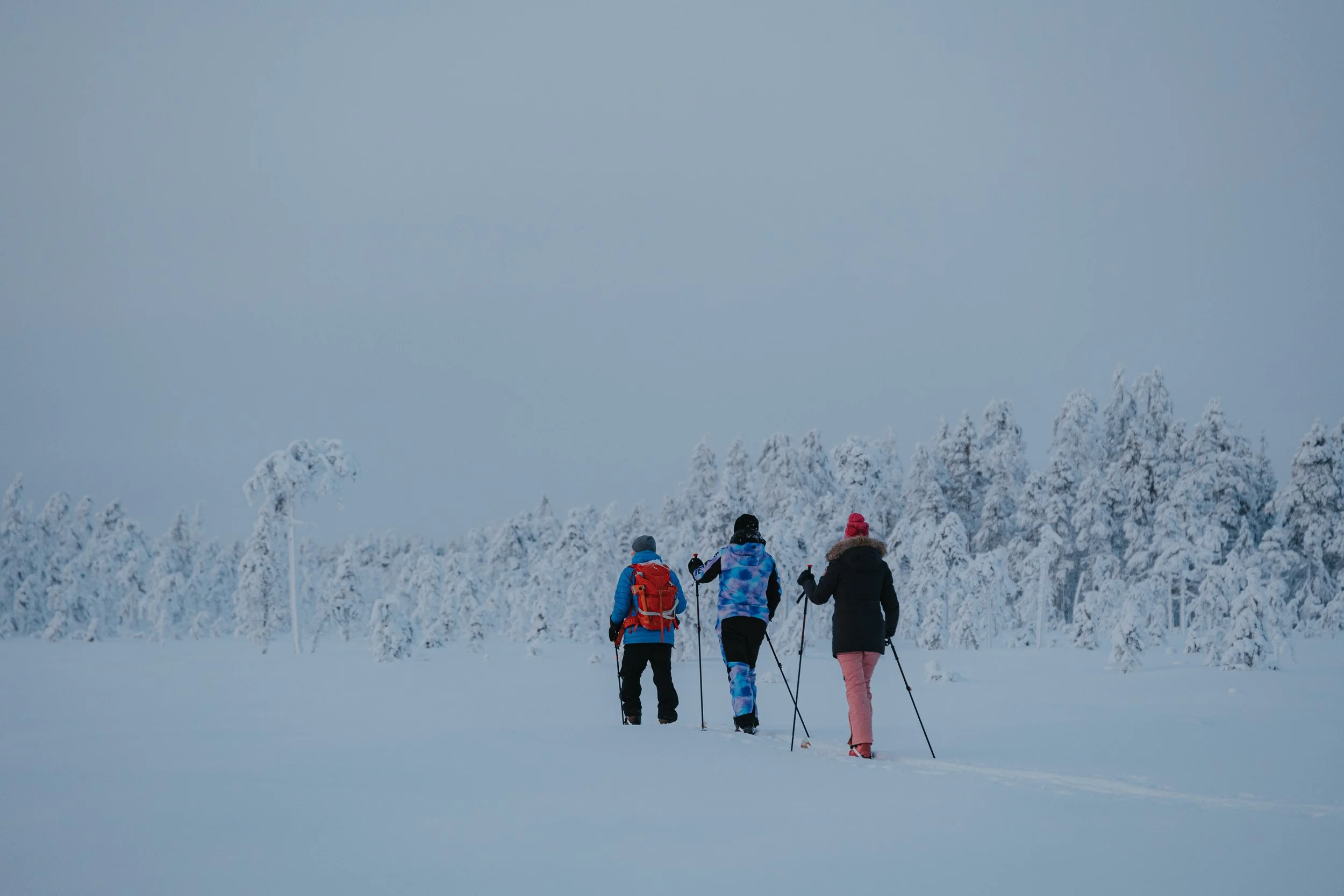 Four people wearing winter clothing and carrying backpacks, snowshoeing through a snowy landscape with snow-covered trees under a cloudy sky in Tornio/Haparanda.