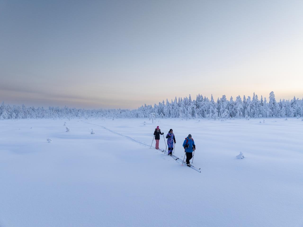Four people cross a snowy landscape on skis, heading toward a forest of snow-covered trees under a clear sky.