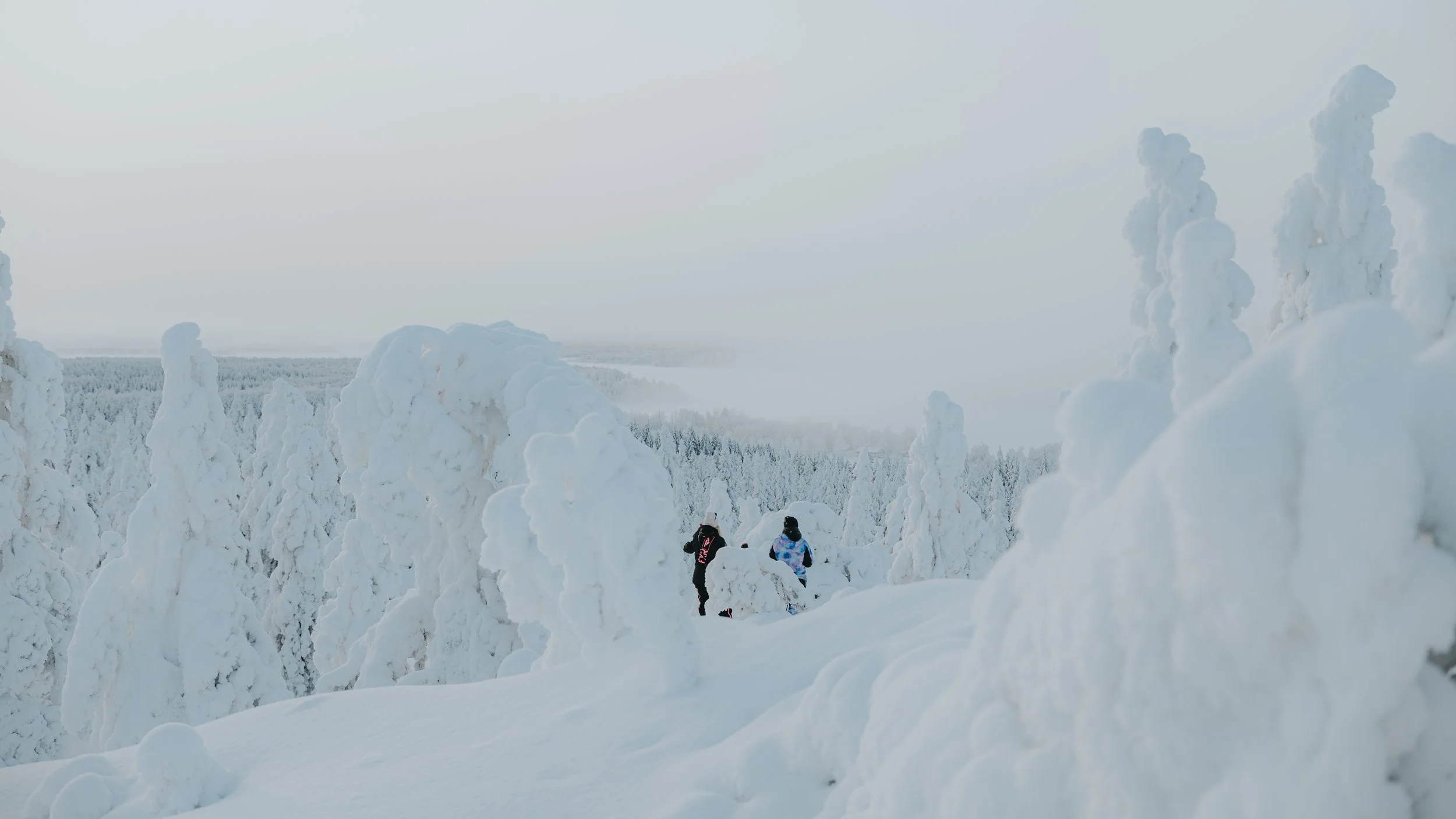 Two people hiking through snow-covered trees in a winter landscape, with snow-covered mountains in the background.