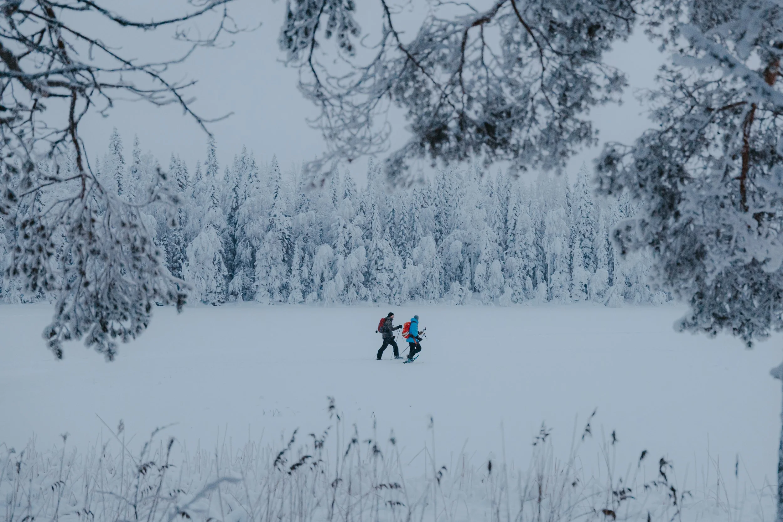 Two people dressed in winter gear snowshoeing through a snowy landscape surrounded by snow-covered trees and a cloudy sky.