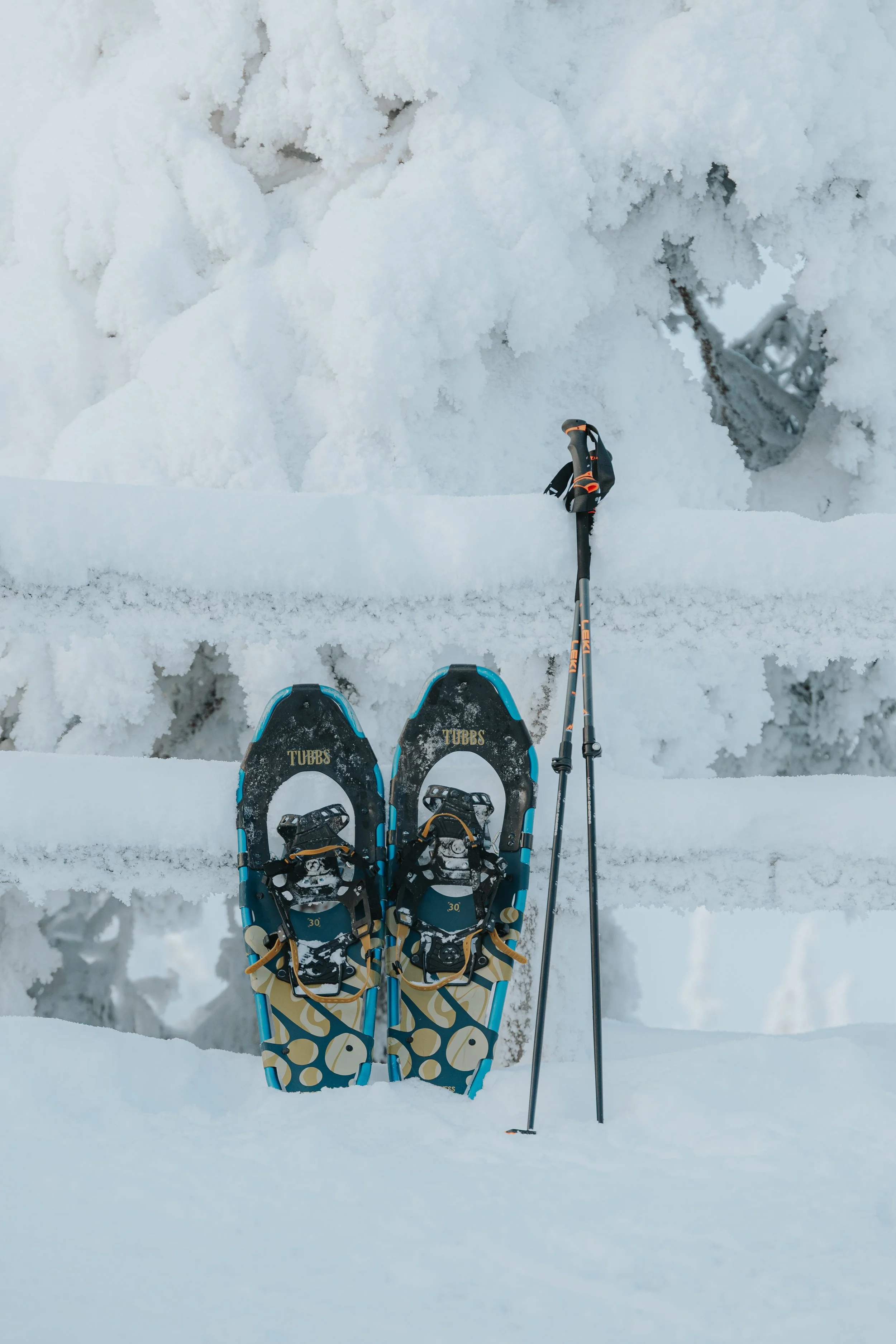 Snow-covered landscape with a pair of blue and yellow snowshoes and two ski poles standing upright in the snow.