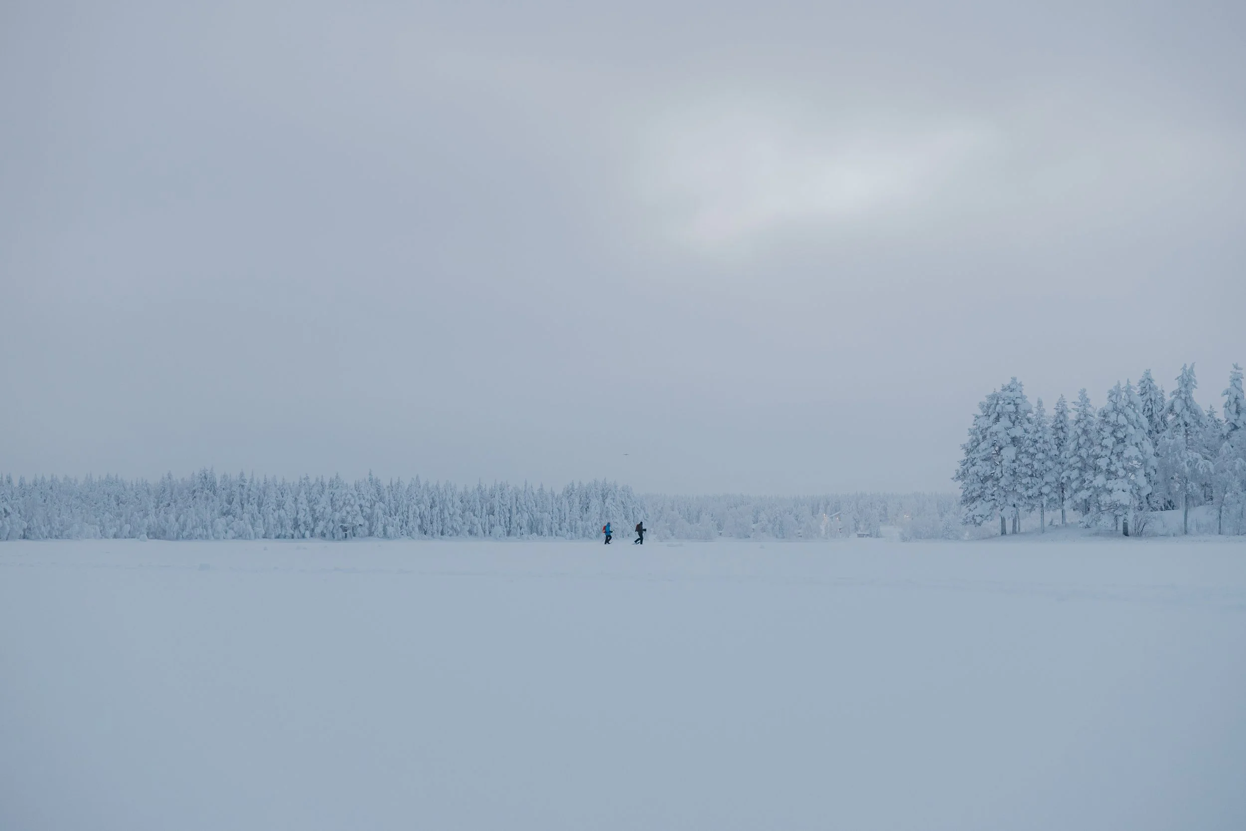 Snow-covered field with a dense line of snow-laden trees in the background and a cloudy sky above. Two small figures are walking across the field.