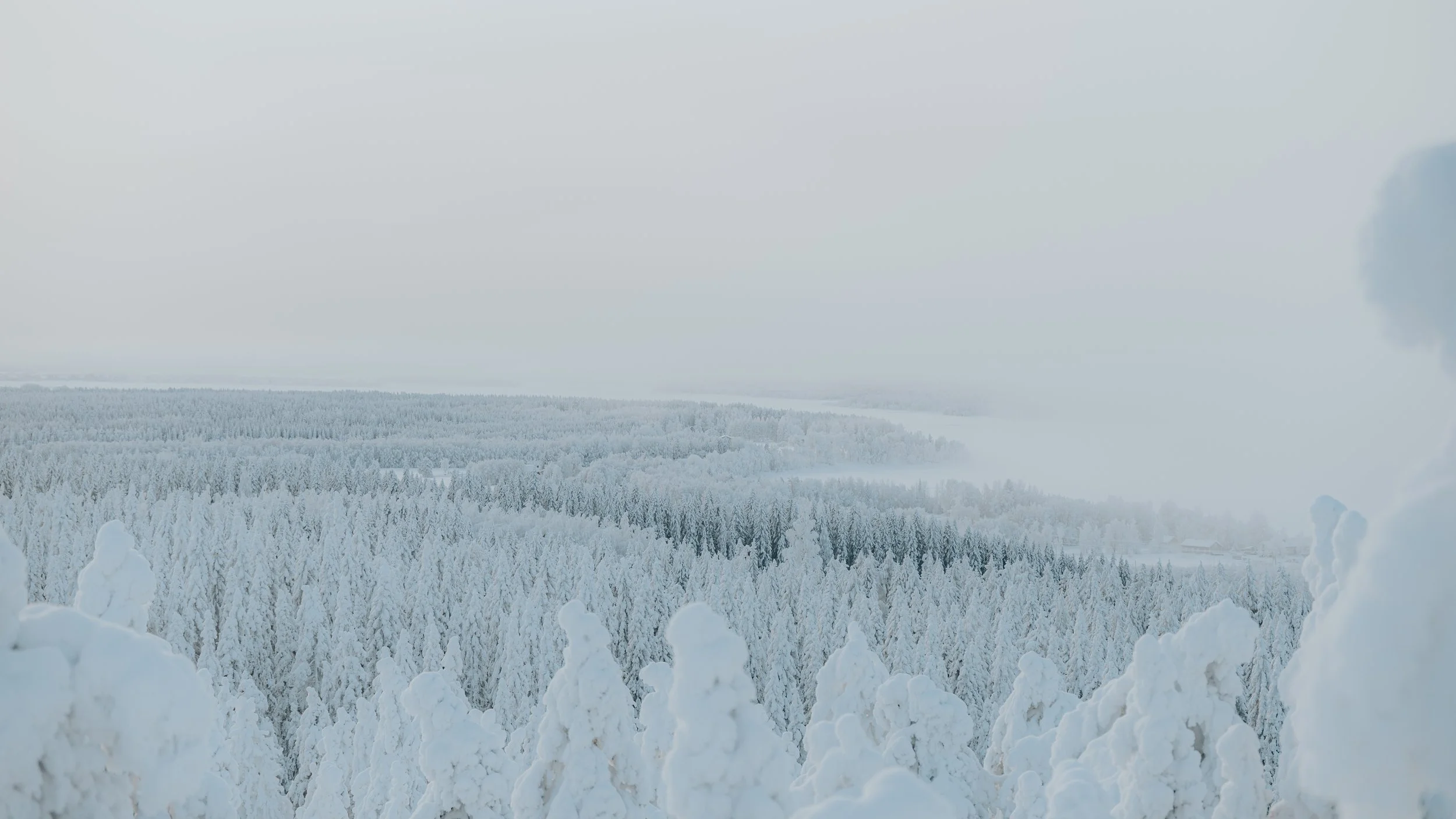 Snow-covered forest with distant vista and cloudy sky.