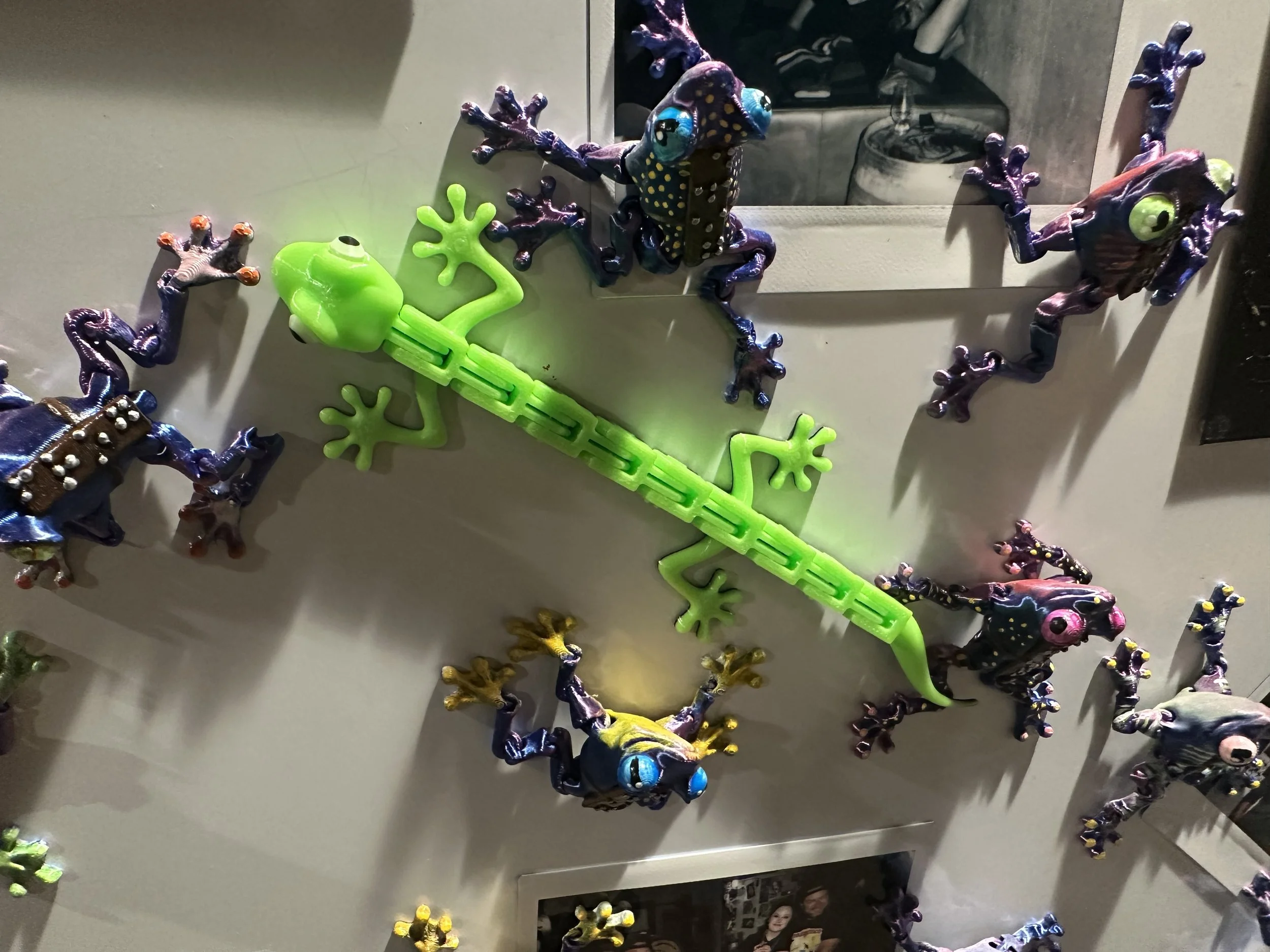 One lizard amongst several braille frogs on a white refrigerator door.