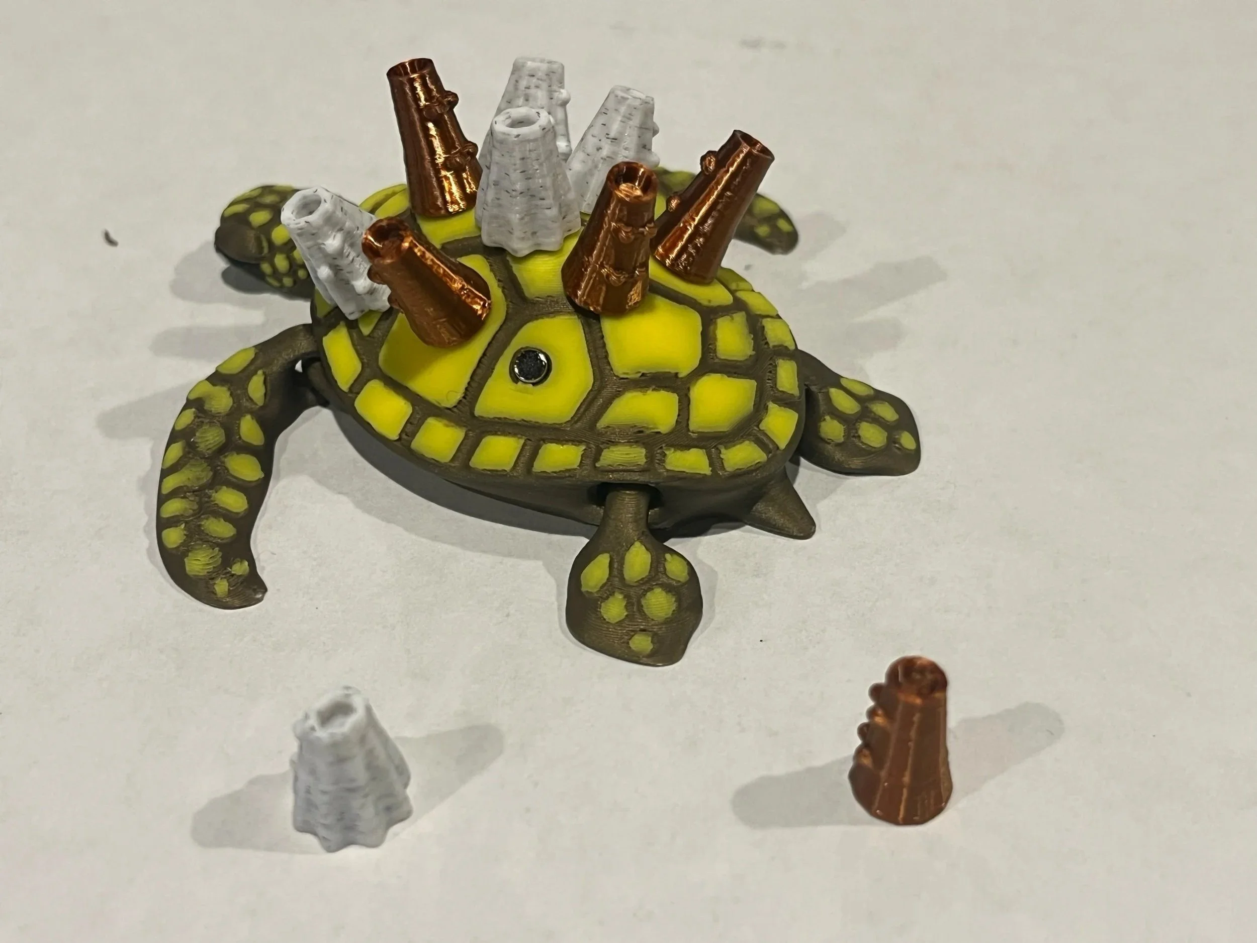 Bronze and Yellow Sea Turtle, with some of the Copper and Marbled white barnacles on the turtle's back.