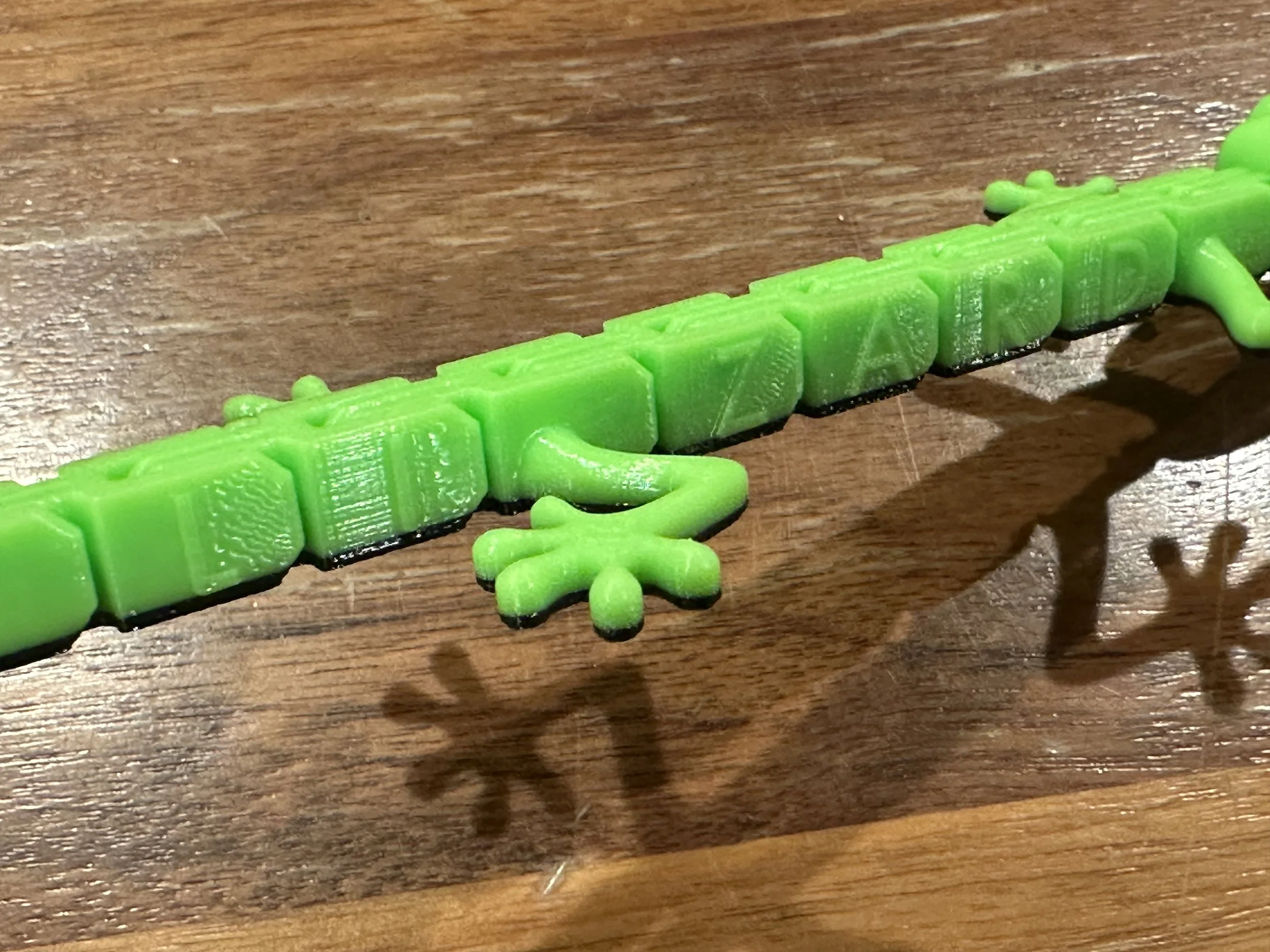 The print side of the 6 letter links are shown across the lizard' s right side.