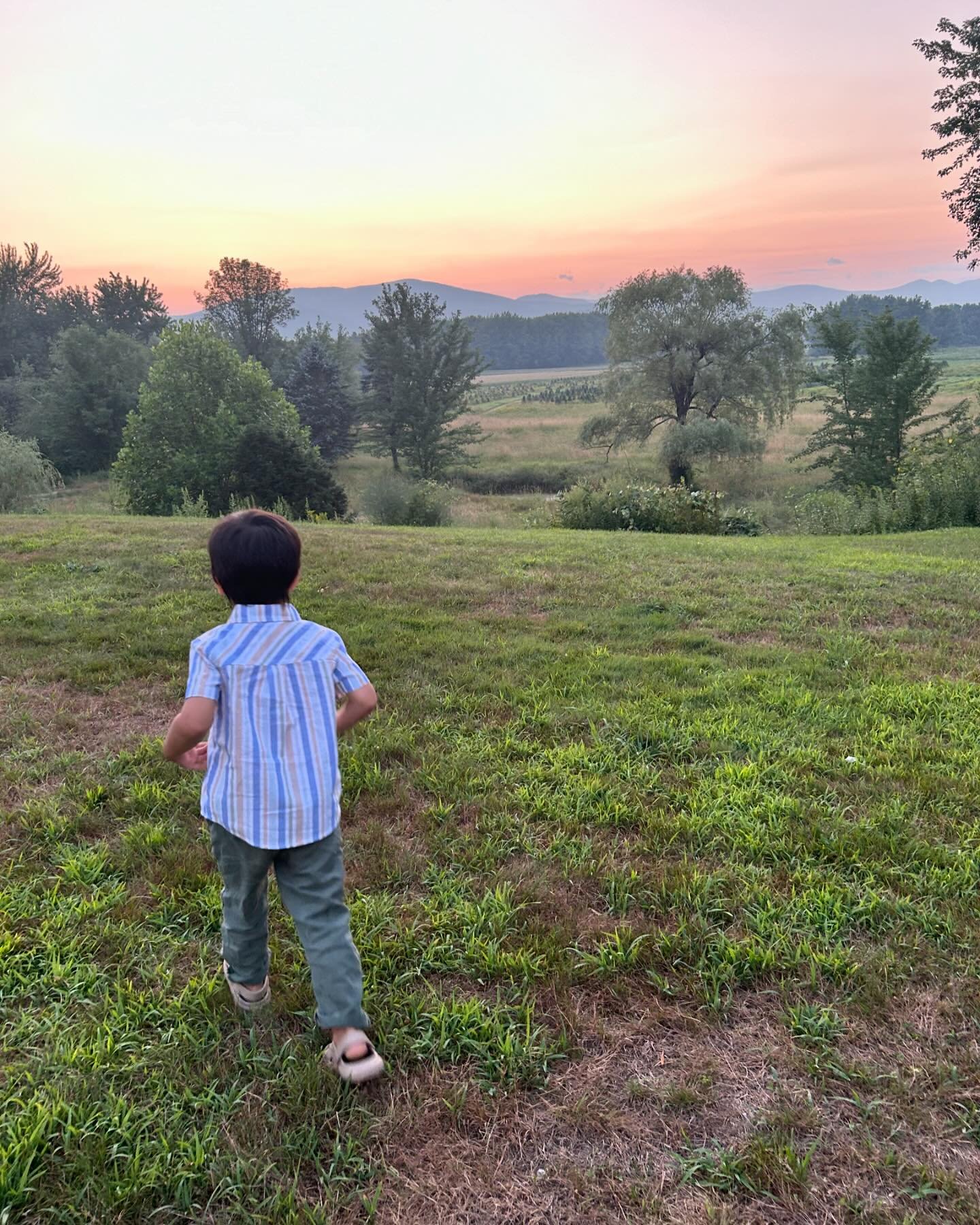 Thousands of dragonflies descend on us every evening, feasting on mosquitoes. Moments later, bats circling overhead. And for a few moments in between we chase fireflies into the sunsets.