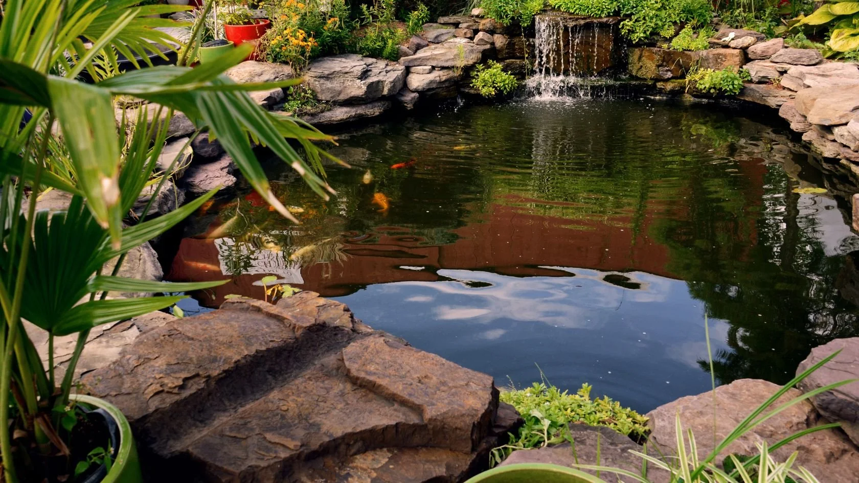 pond-maintenance-cleaning.jpg