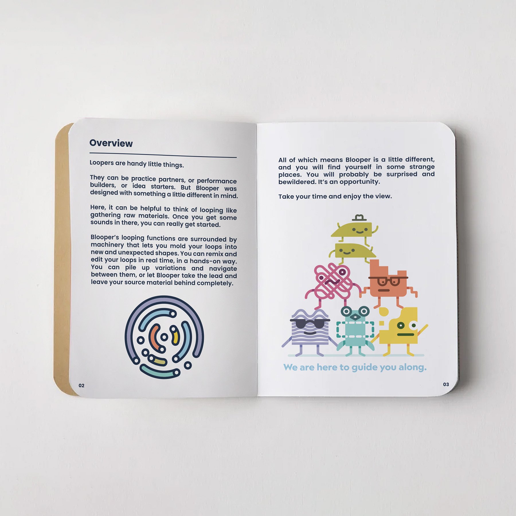 Chase Bliss_Blooper_Manual_Overview.jpg