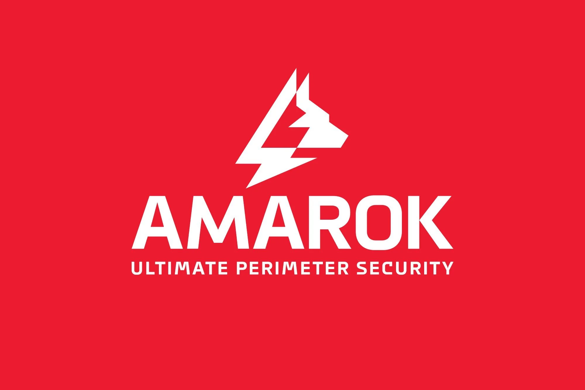 2_DD14986_AmarokLogo_2_2000x1333.jpg