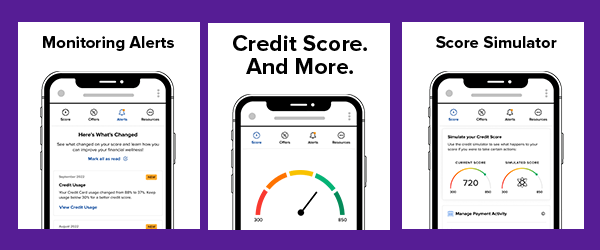Monitor Your Credit Score