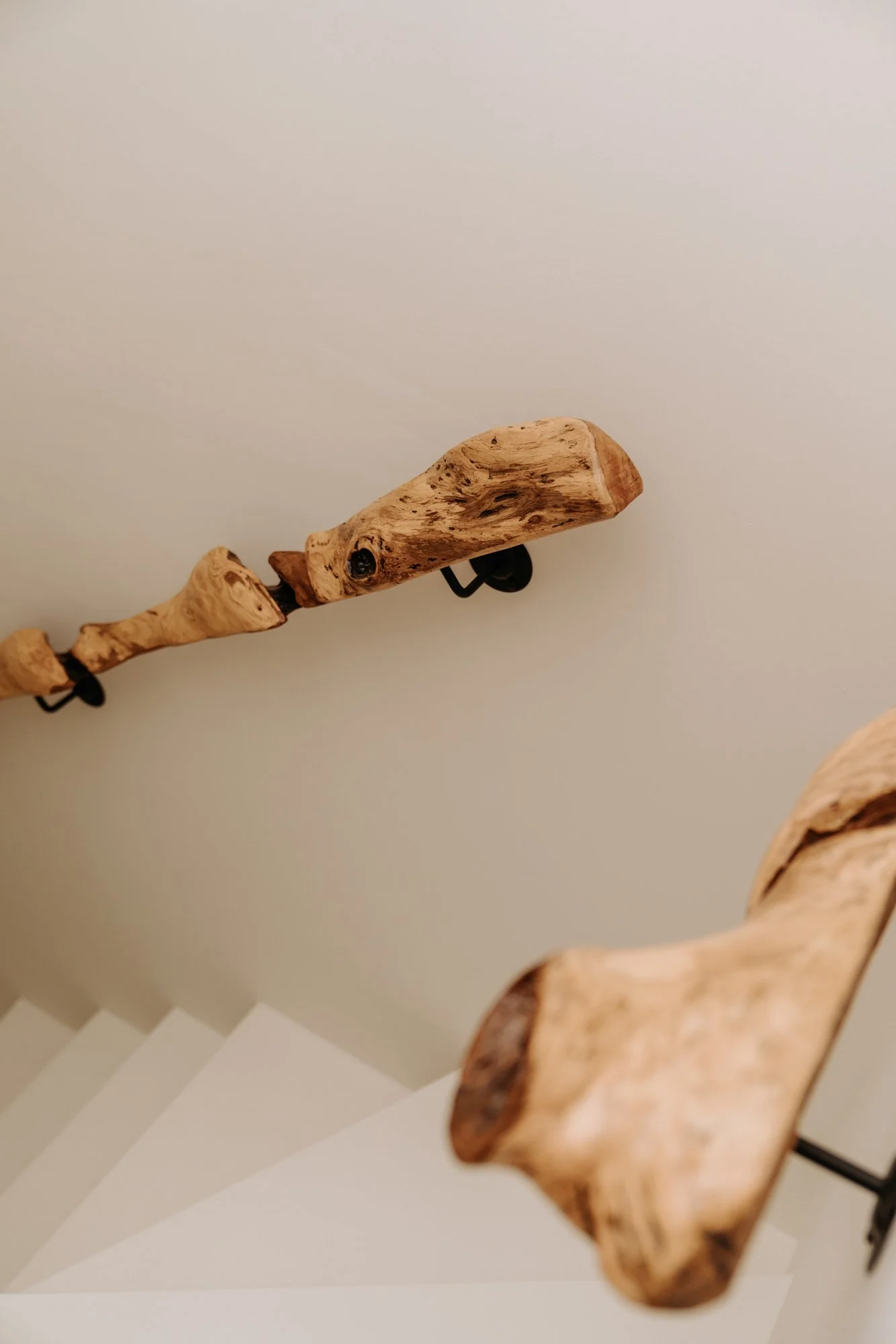 TRAP-HOUT-31.jpg