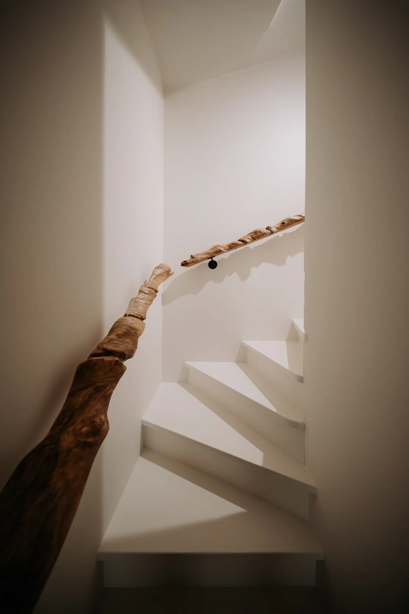 TRAP-HOUT-2.jpg