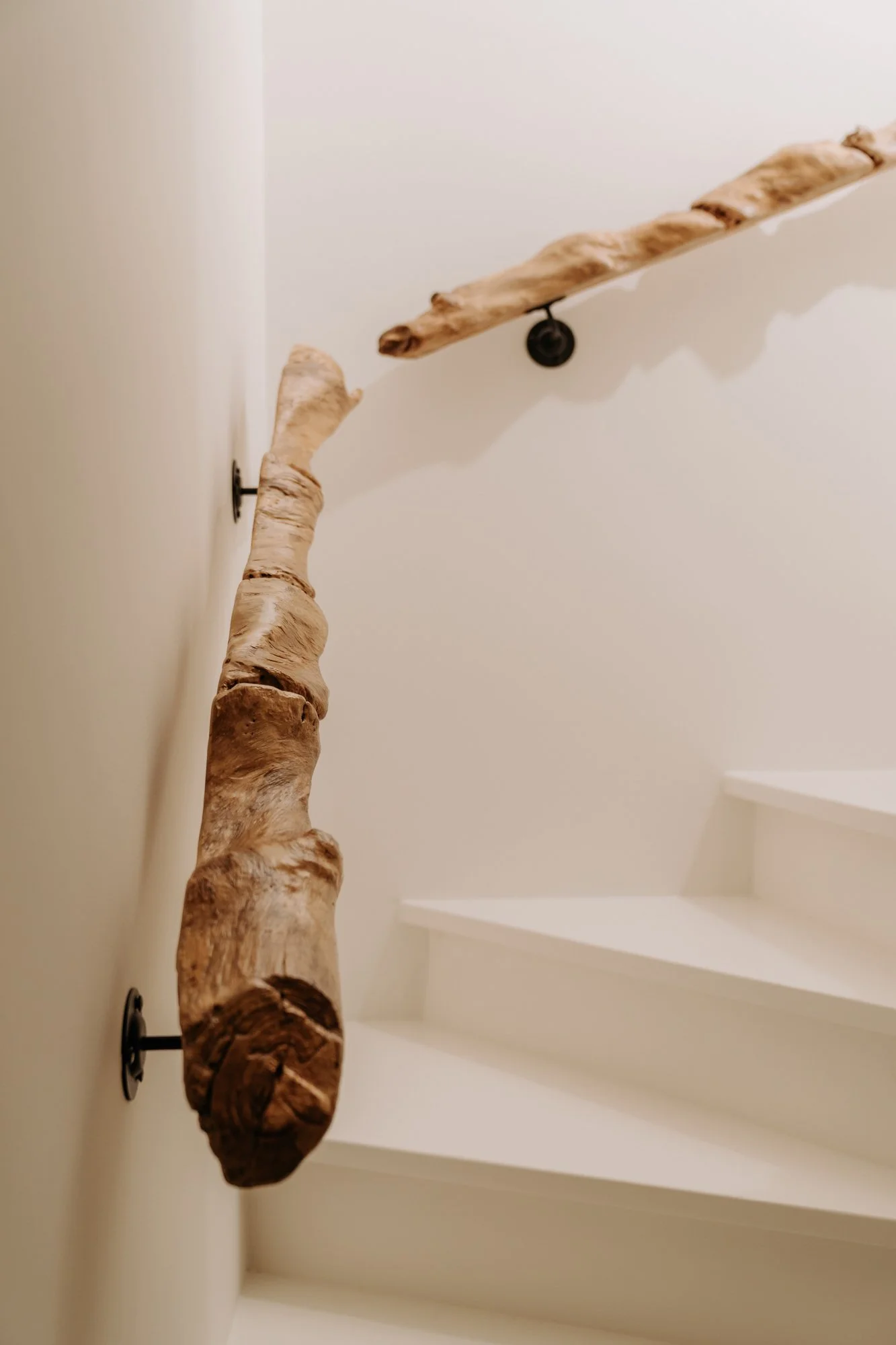 TRAP-HOUT-19.jpg