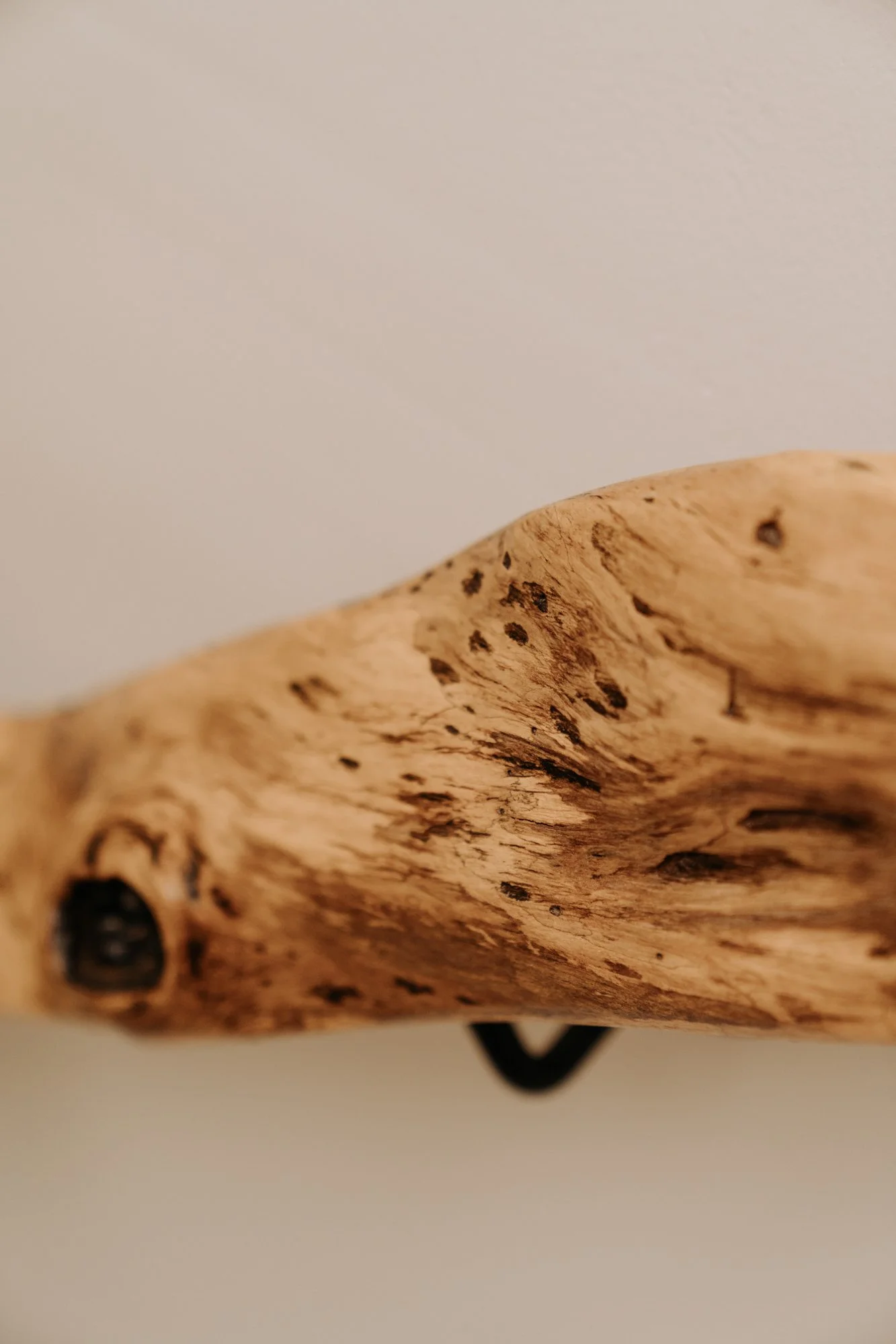 TRAP-HOUT-27.jpg