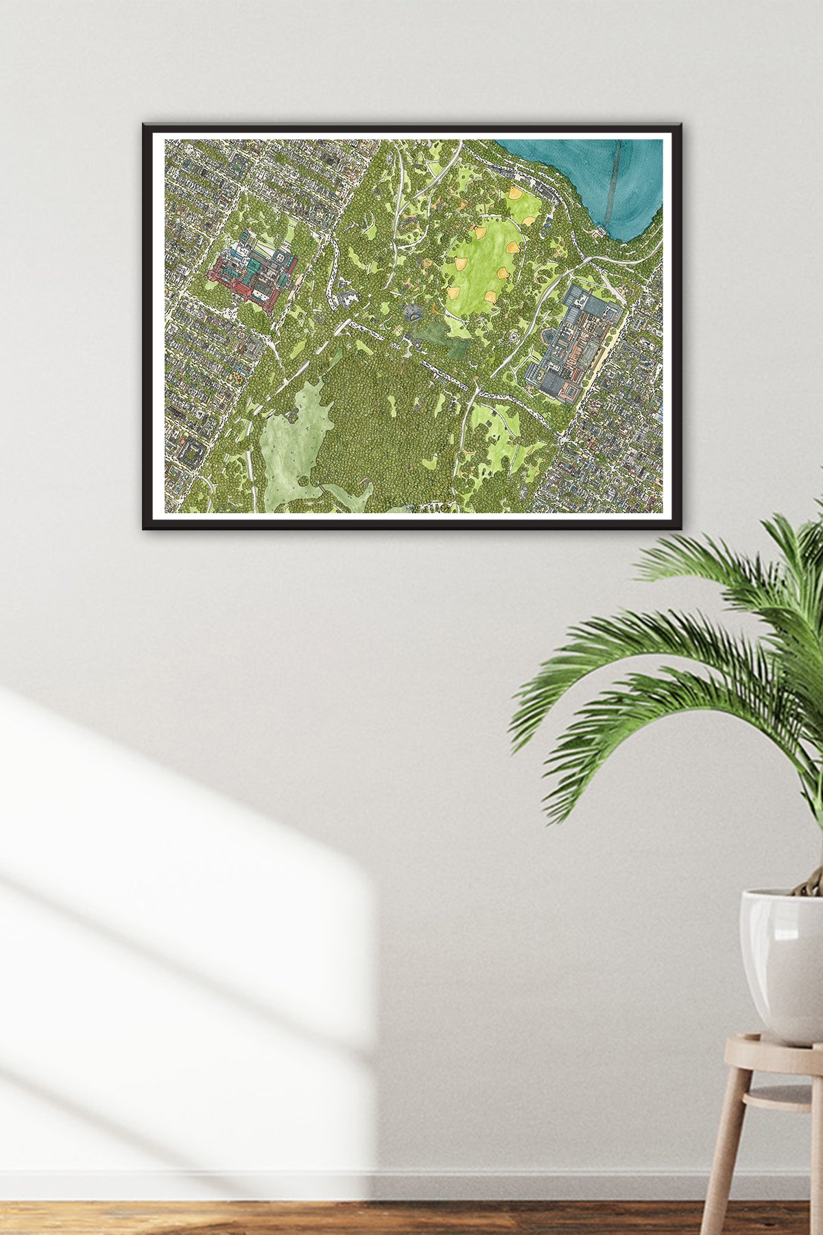 CENTRALPARK_SETUP.jpg