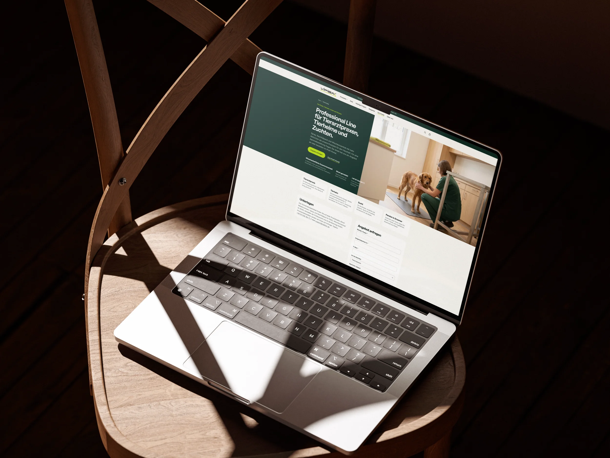 Vipibax Website